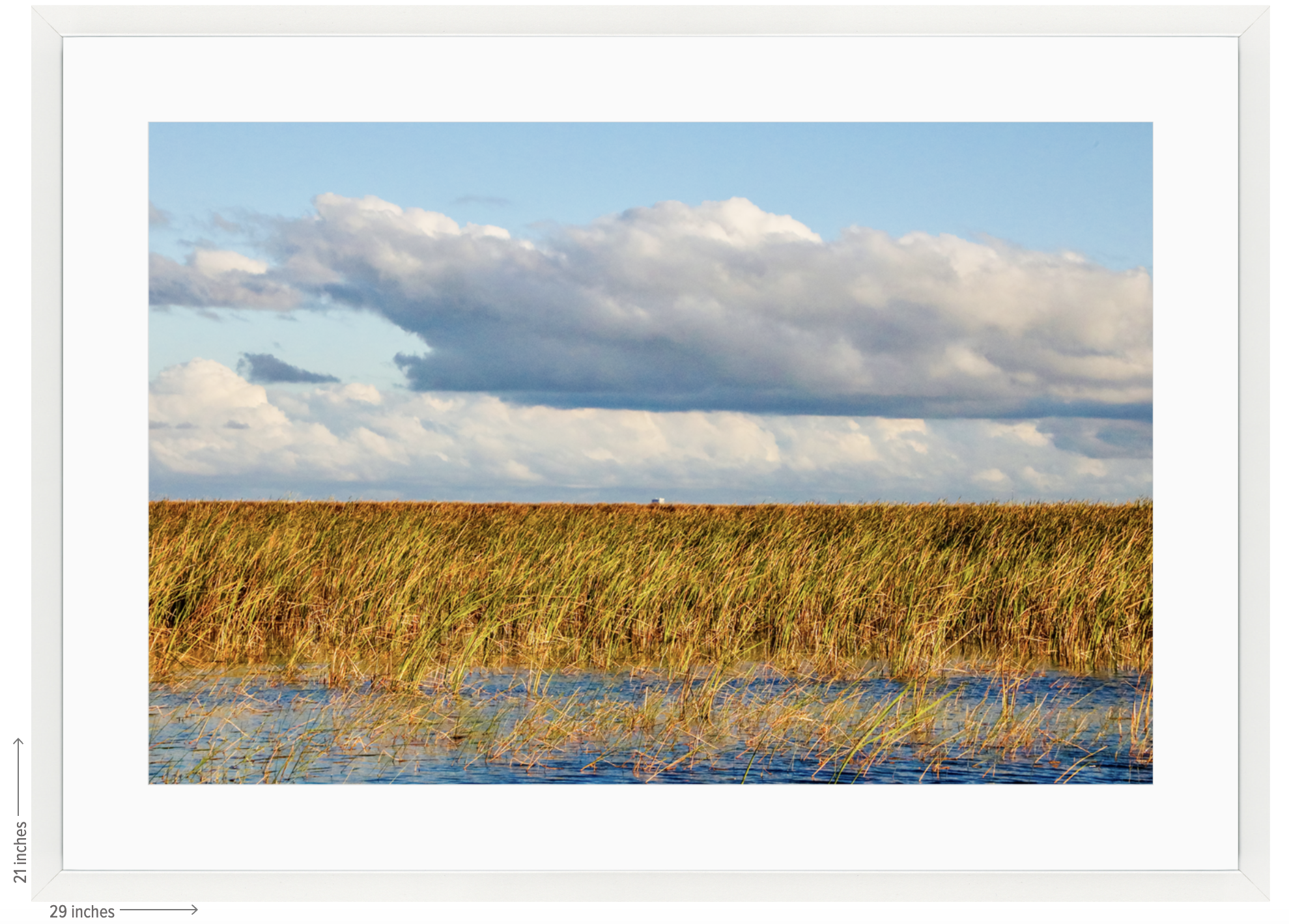 wetland white frame with mat.png