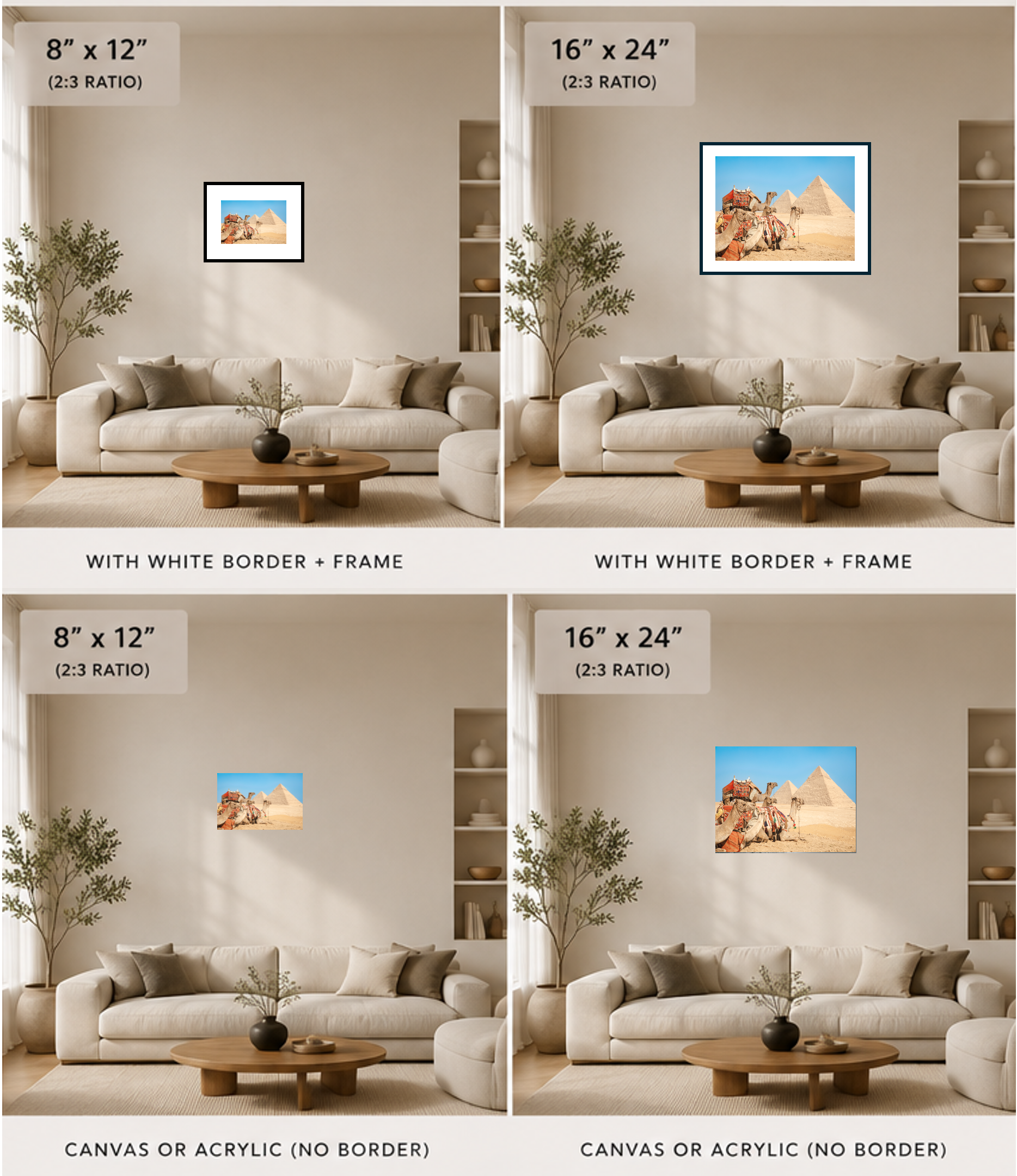 Camels in front of pyramids demo.png