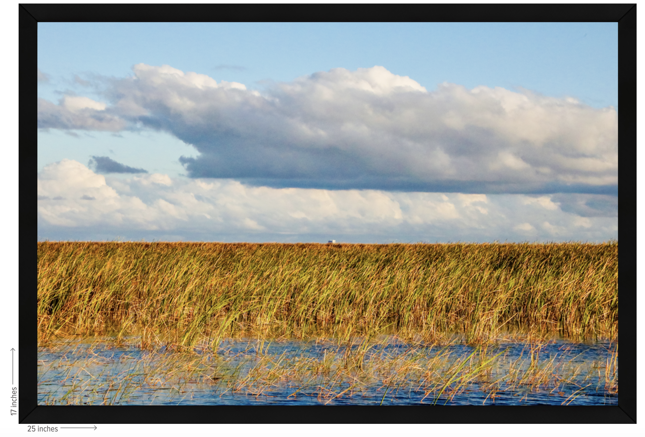 wetland with black frame.png