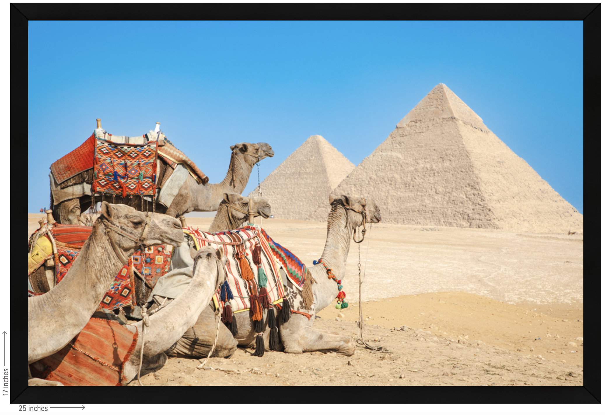egypt camel black frame.png