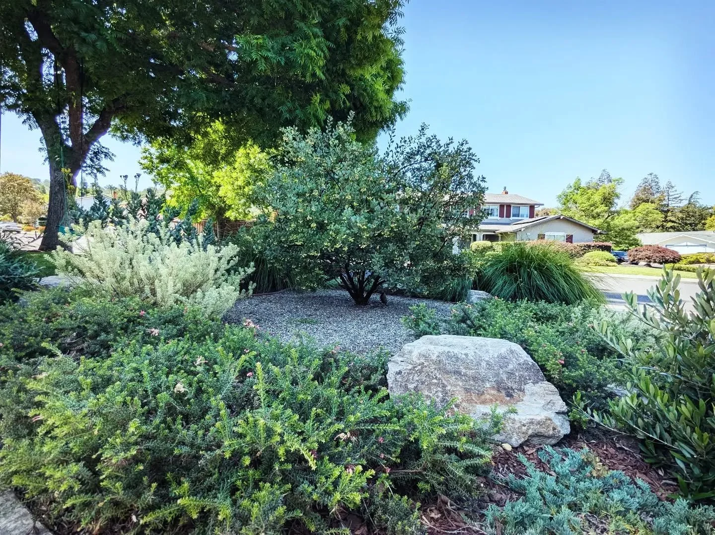 COMPOUND EYE Ethos 3: LANDSCAPE AS LIVING ARTWORK 

Each site has its own inherent story, its own natural history, and a dream for realizing its full potential. All landscapes slowly evolve over time like an ever-changing art installation. It is our 