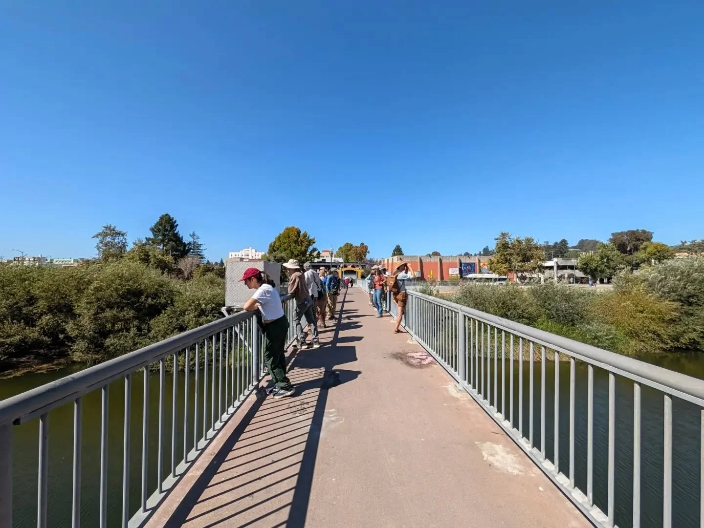 Last Saturday - had a lovely day out exploring the San Lorenzo River with the @coastalwatershedcouncil and meeting lots of nature-loving folks and environmental professionals. We walked from the Tannery Arts Center, to downtown, observing birds and l