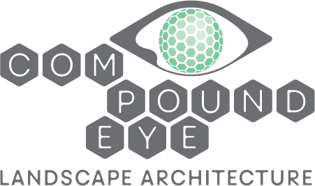 COMPOUND EYE