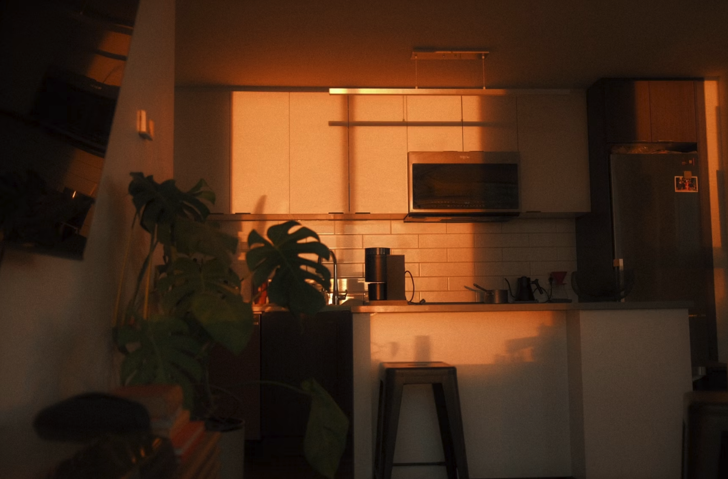 Dimly lit modern kitchen with cabinet, stove, and appliances illuminated by warm orange light, with green plant in foreground.