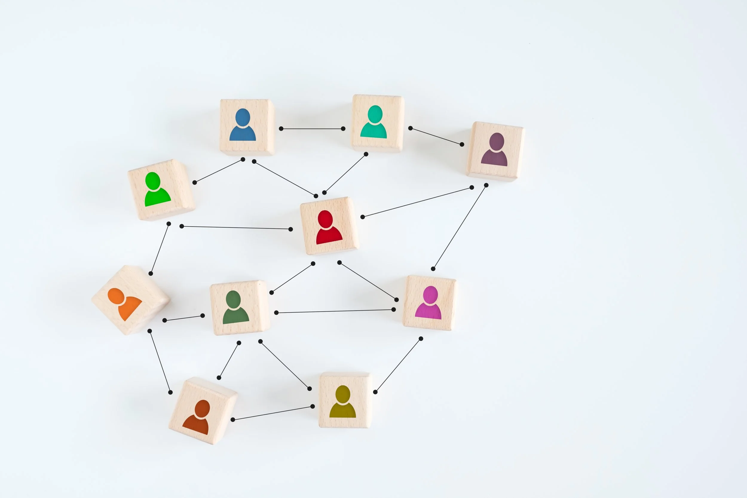 Public and Non-Profit Executive Management