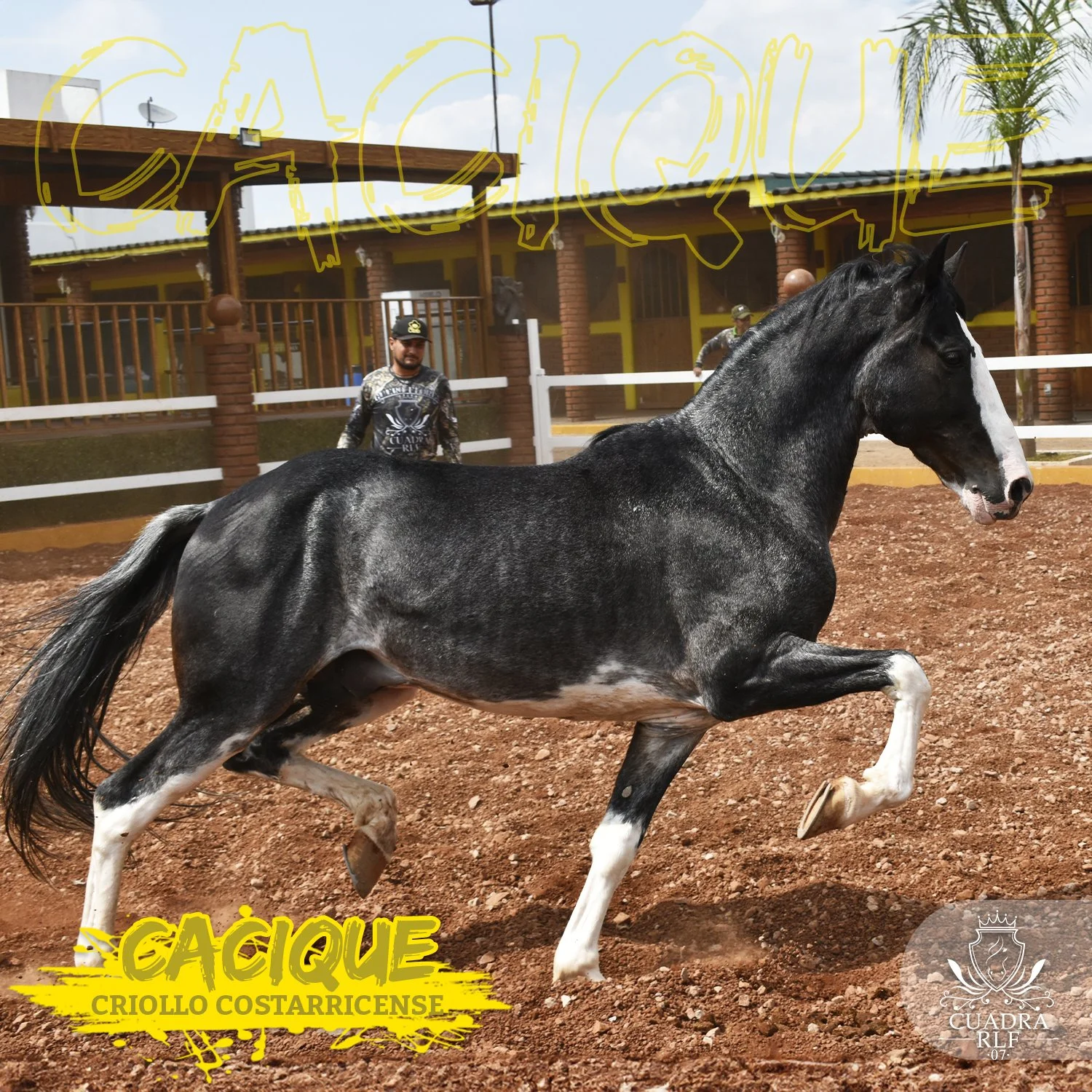 Cuadra RLF 07