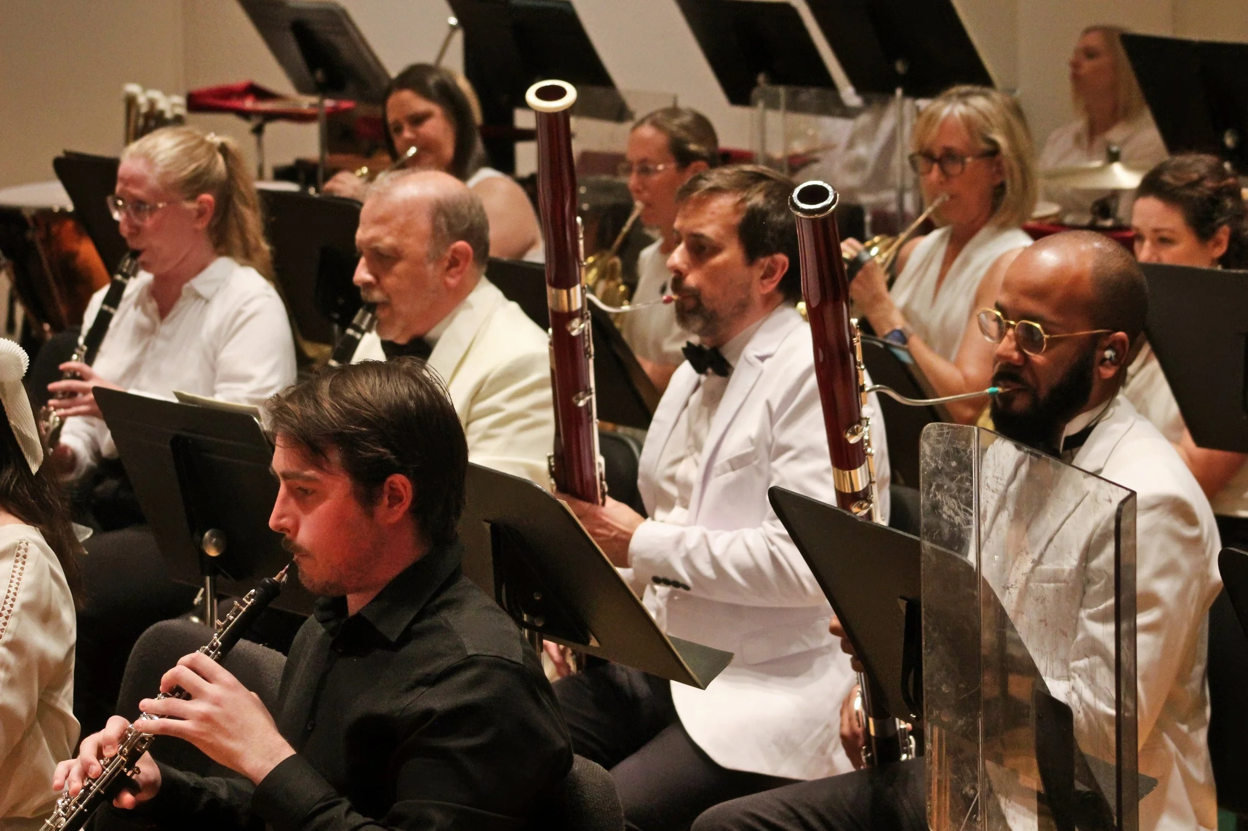 Bassoon / Contrabassoon Fellowship