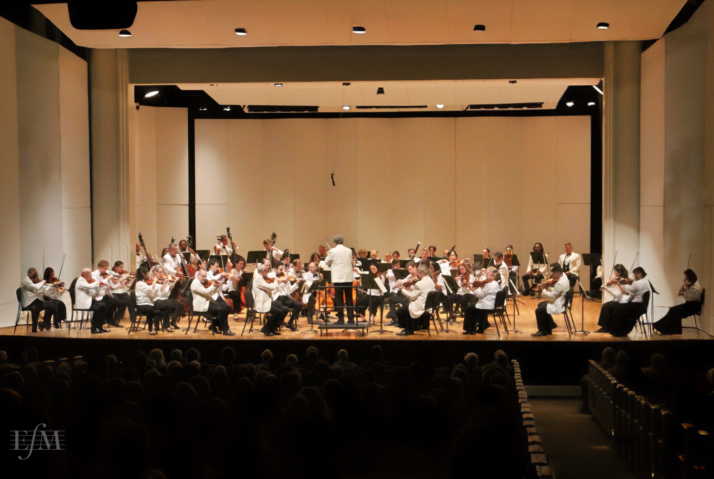 The Eastern Festival Orchestra performing on stage with a conductor, in a concert hall filled with audience.