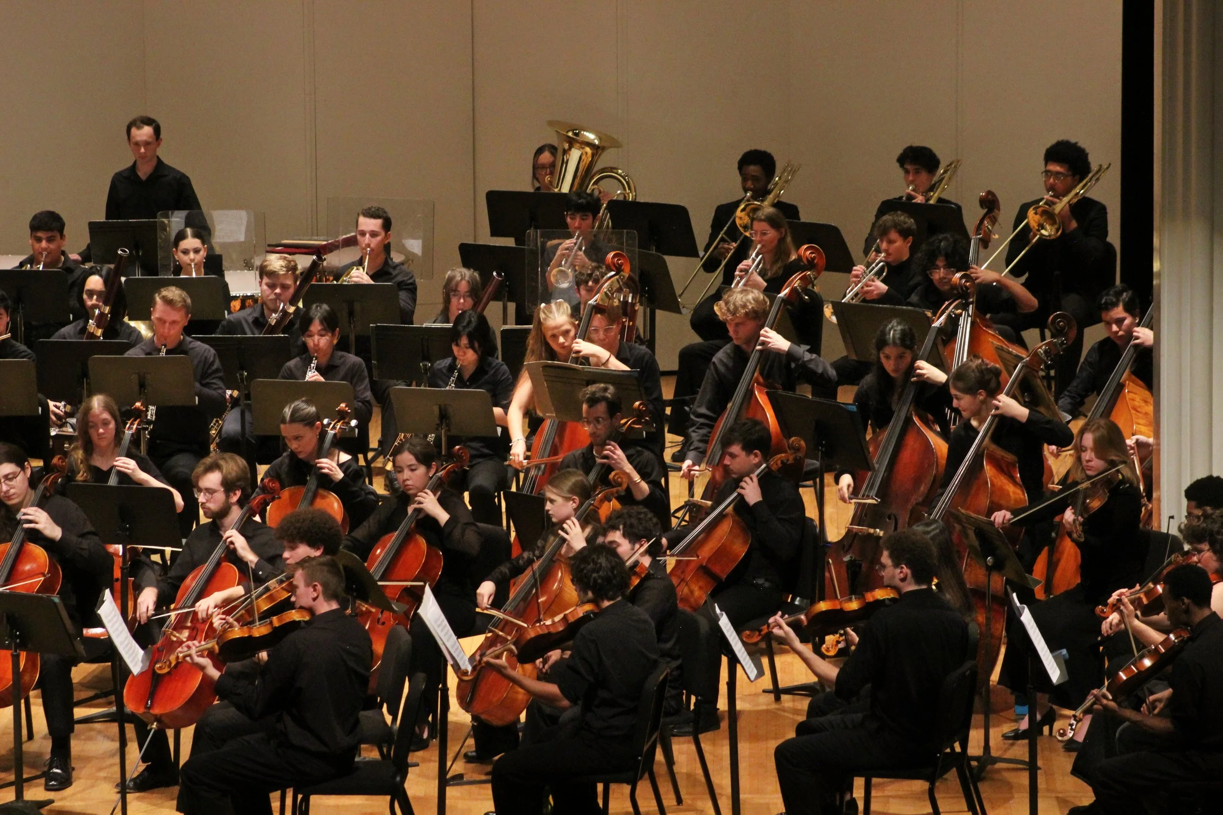 Young Artist Orchestra: Interesting Stories