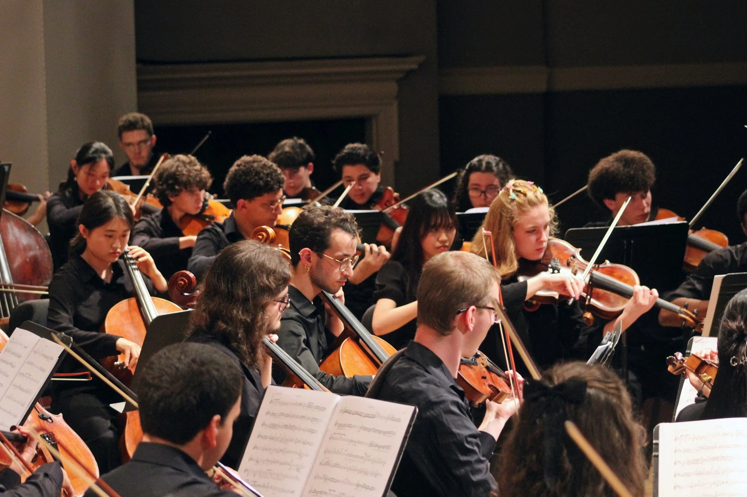Young Artist Orchestra: Young Soloists