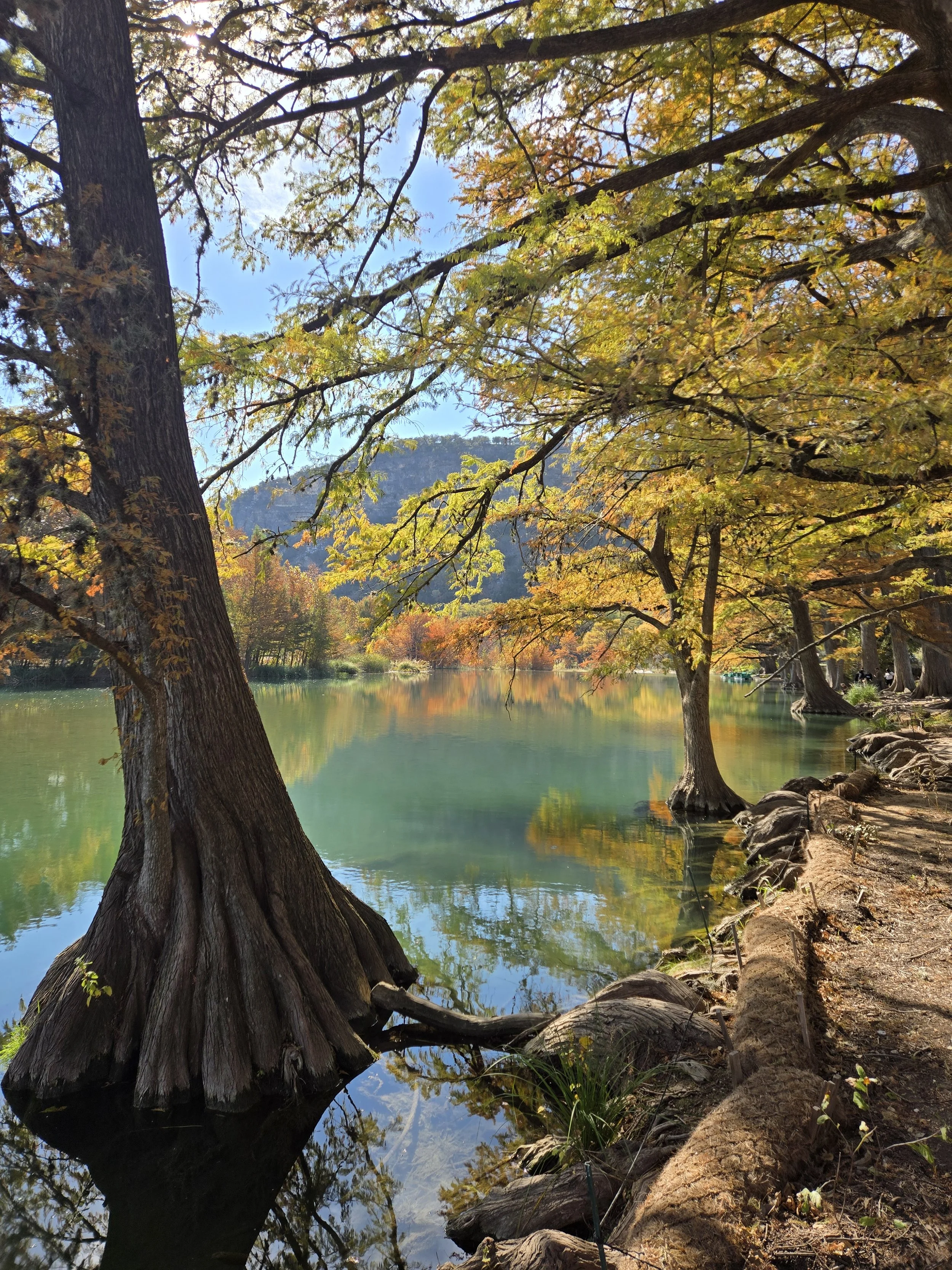 A scenic view of a river surrounded by trees with autumn-colored leaves in Garner State Park. The water reflects the trees and the clear blue sky above. Old Baldy hill appears in the background.