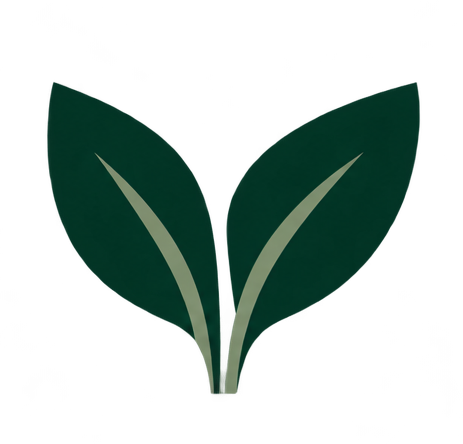 Two green leaves with light-colored veins, facing upward and joined at the bottom.