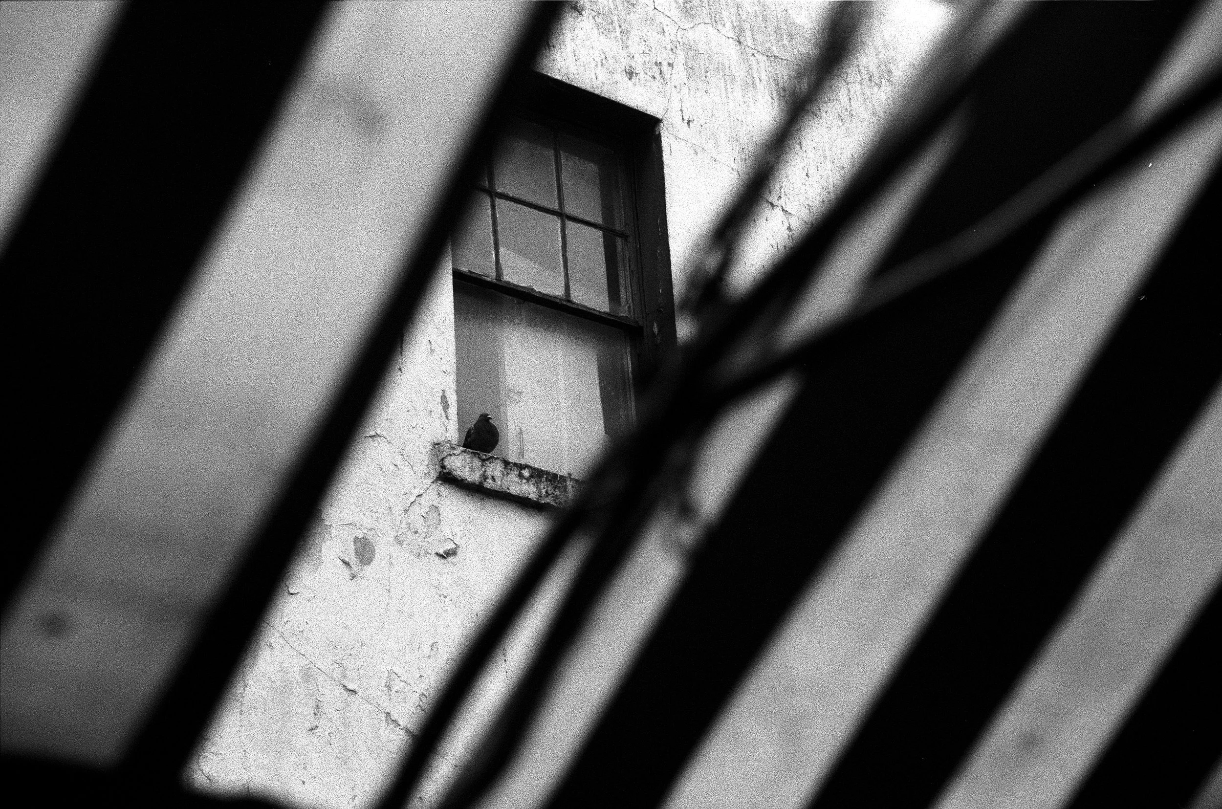 Untitled (16).jpg