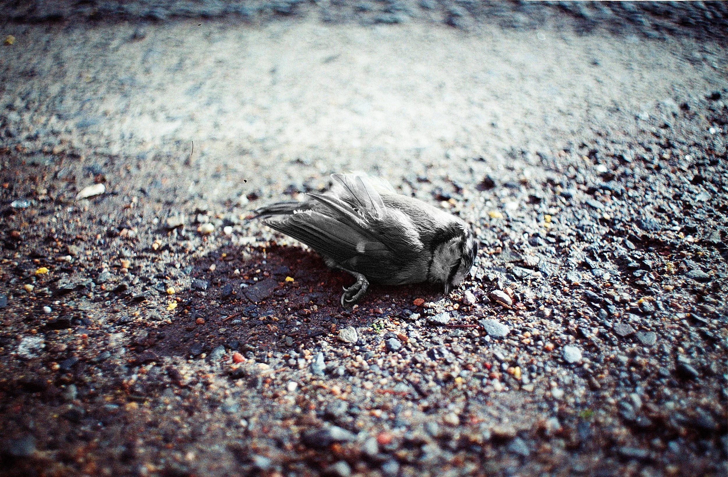 Untitled (39).jpg