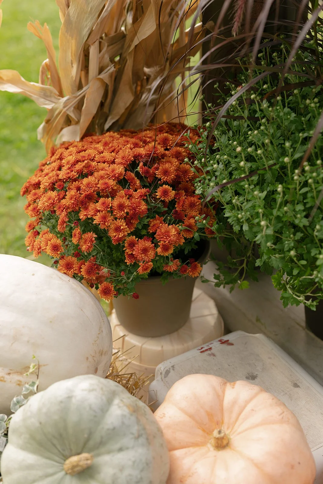 HomeMadeInNiagaraSetsEdited00160.jpg