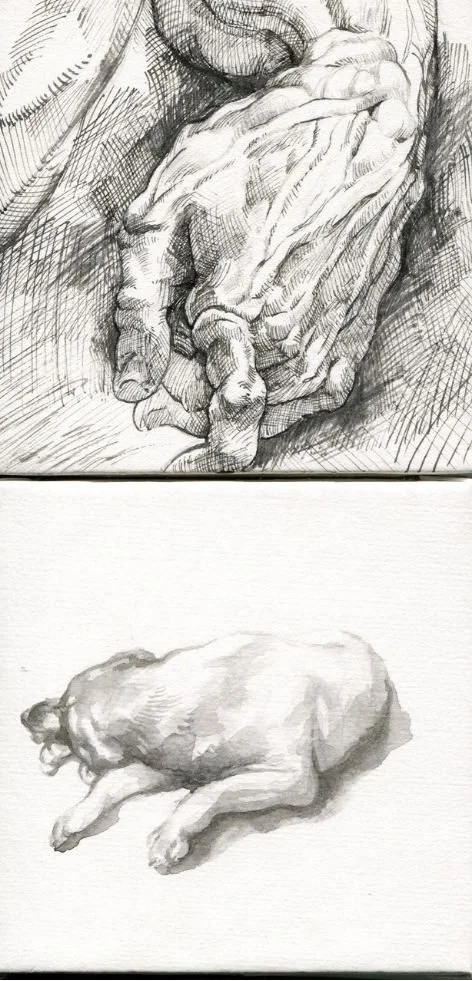 Both: Pen & ink - 2026 