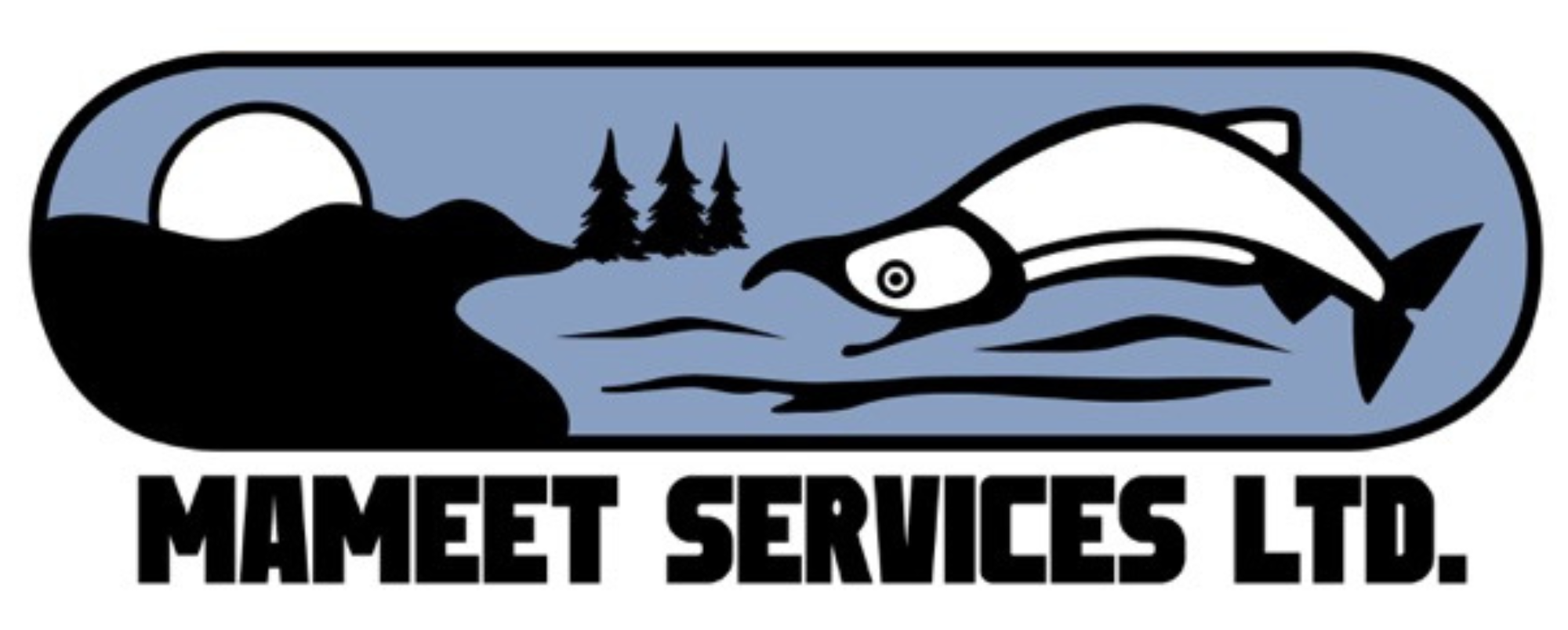 Logo of Mameet Services Ltd. featuring a stylized fish with a landscape background of a setting or rising sun, trees, and water.