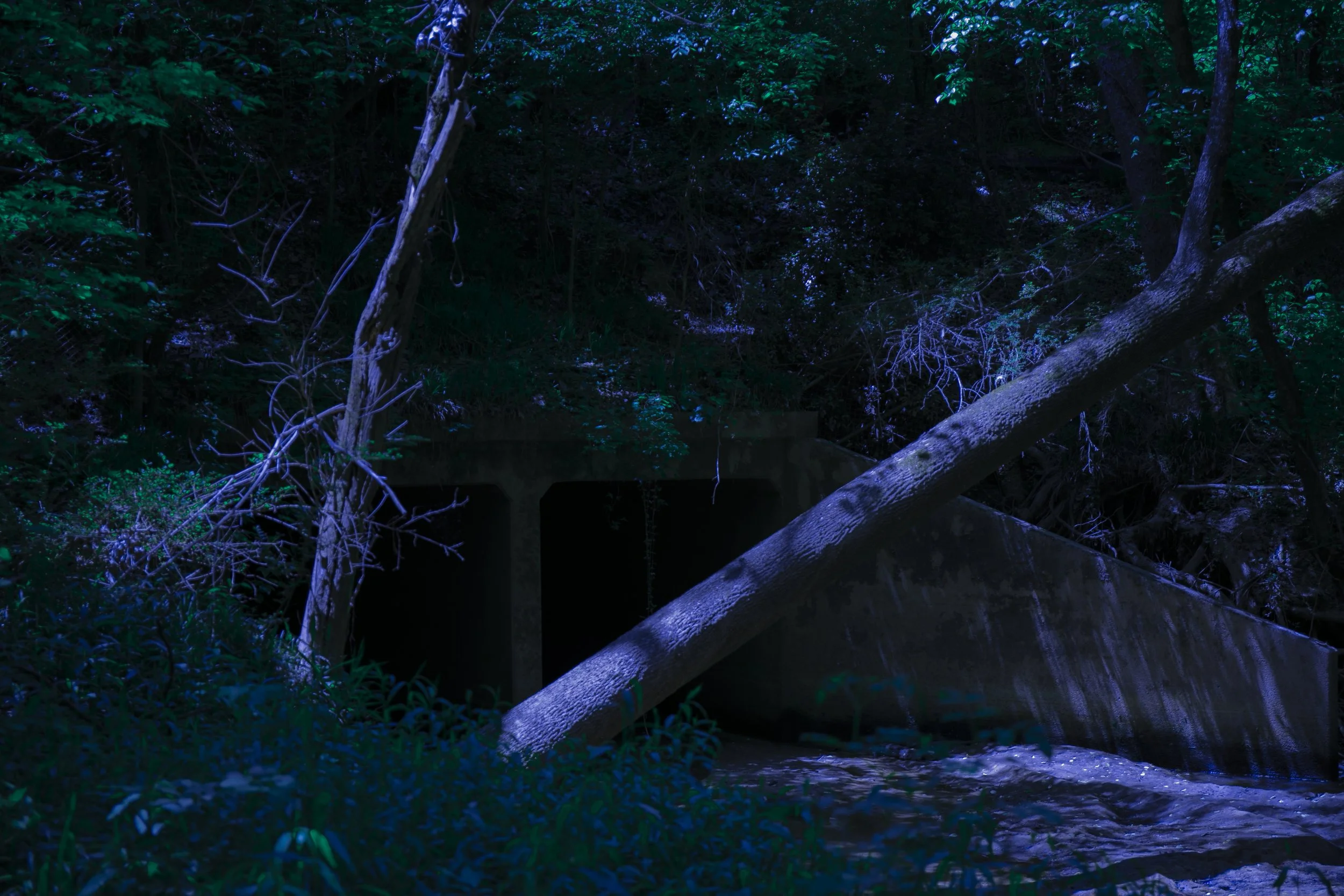 Project#02-5.jpg