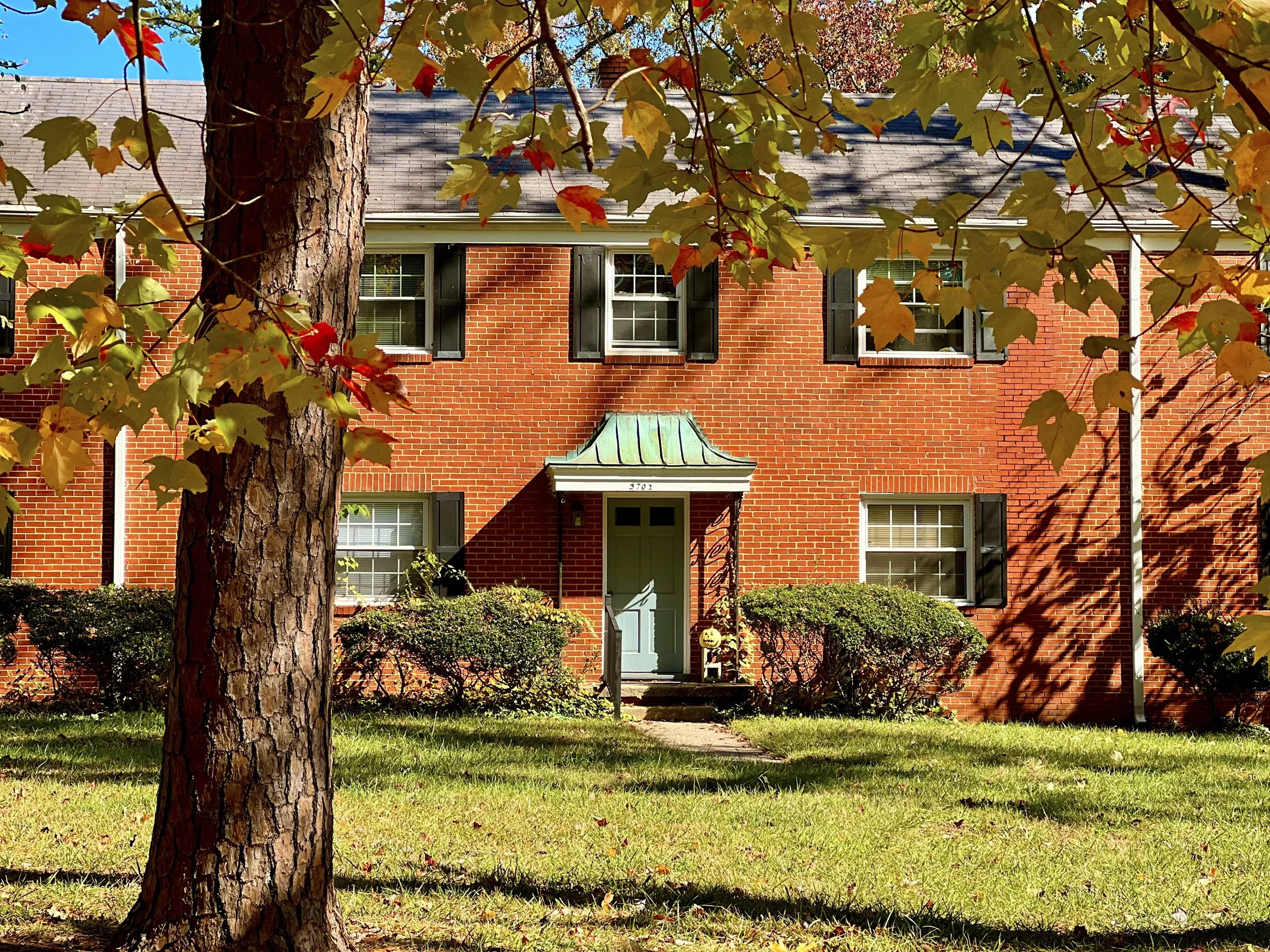A red brick house with black shutters, a white front door, and a small porch, viewed through a large tree with green and some red leaves, on a sunny day.