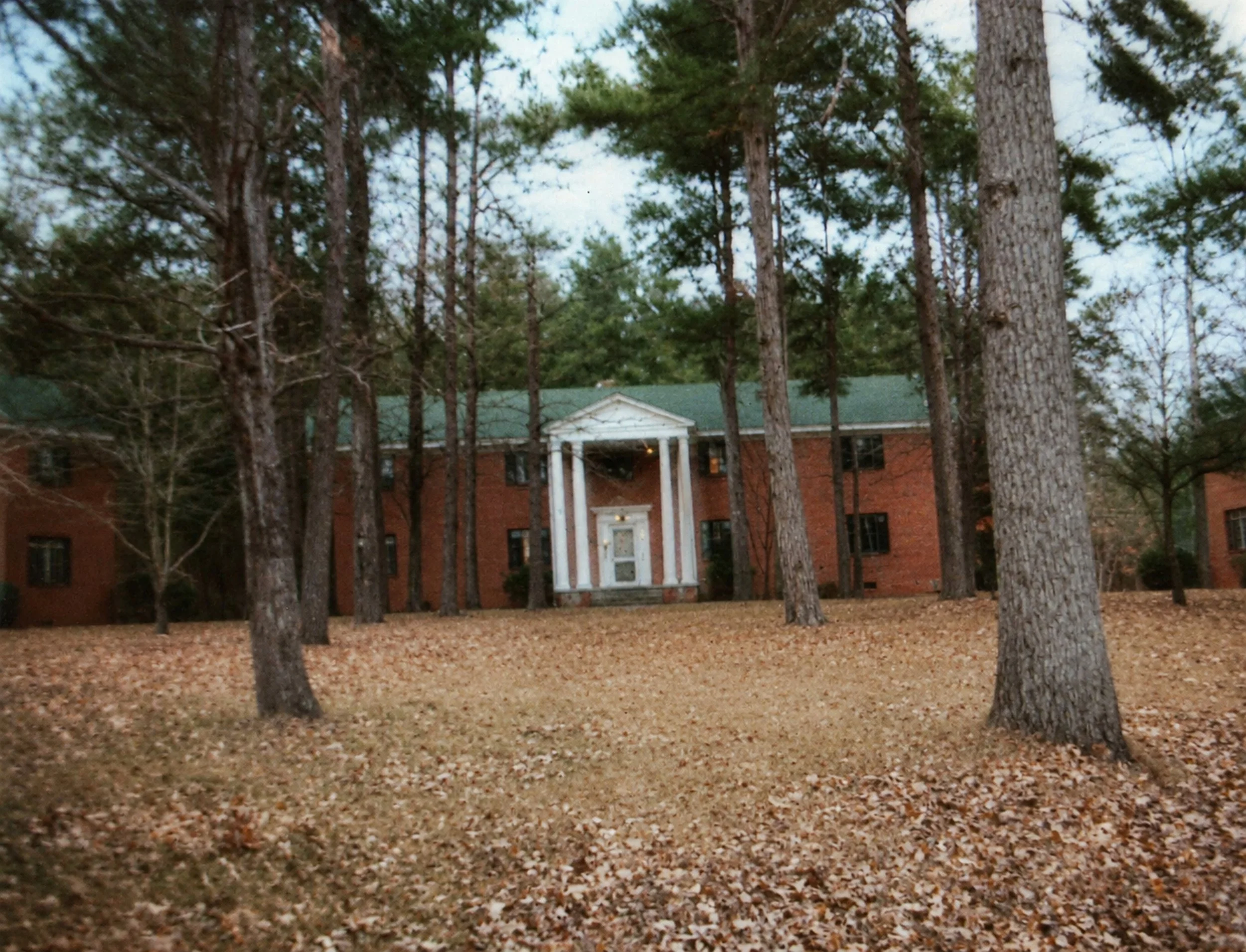 A brick building with white columns and a green roof is partially visible behind tall pine trees. The ground is covered in dry, fallen leaves, indicating an autumn setting.