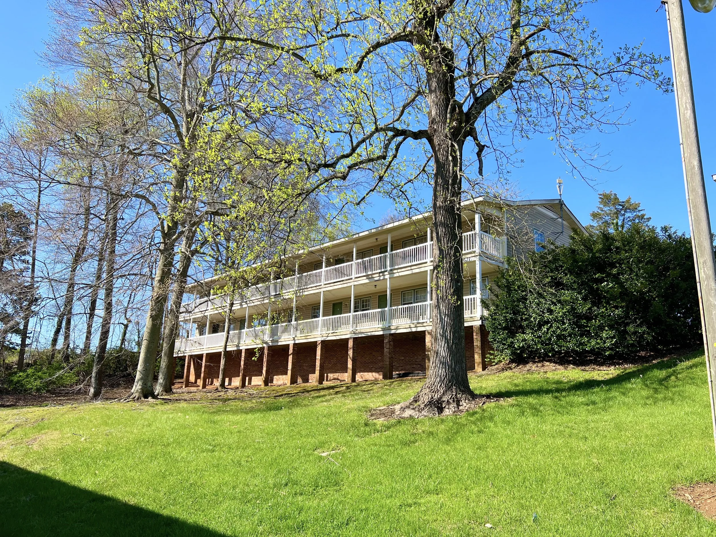 A green lawn with a large tree that has budding leaves. In the background, there is a multi-story building with white railings, a beige exterior, and a gabled roof under a clear blue sky.