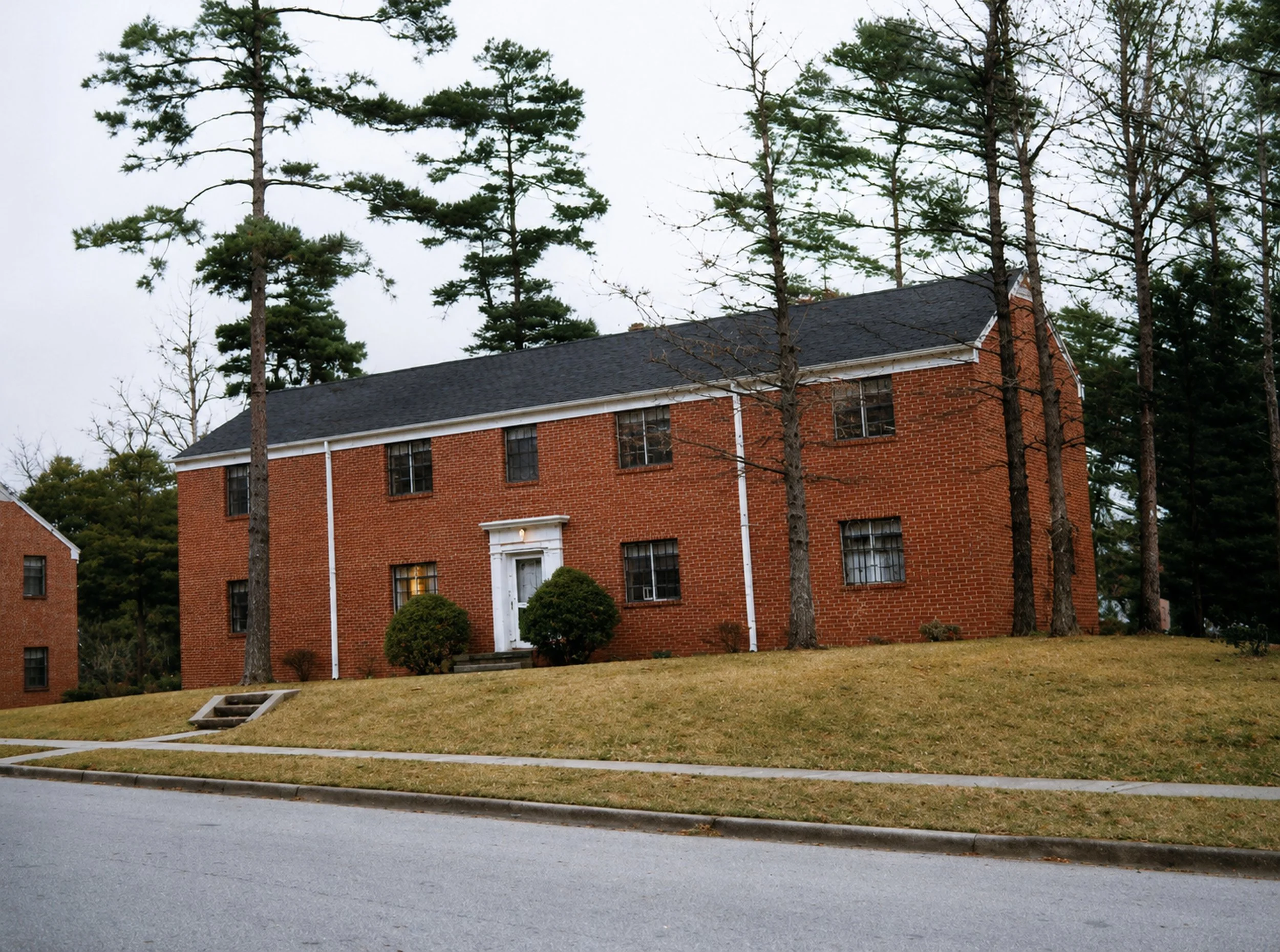 A brick house with black roof shingles seen through tall pine trees on a cloudy day.