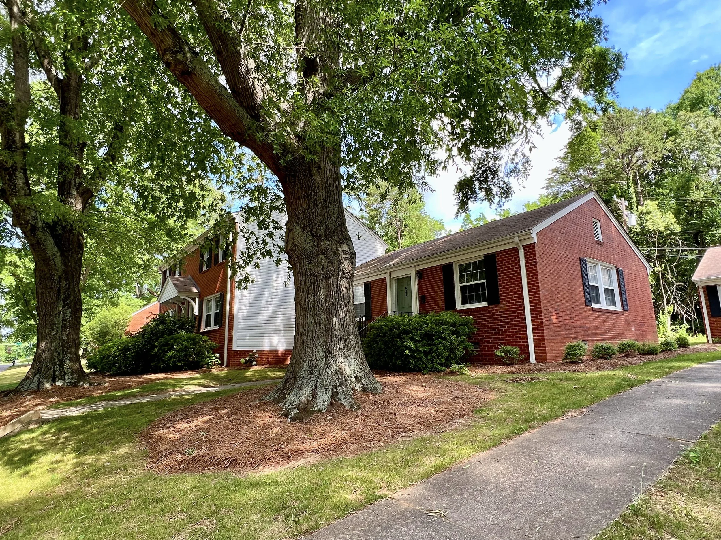 A residential street with a large tree in the foreground, a brick house with white and black accents, green bushes, and a sidewalk on a sunny day.