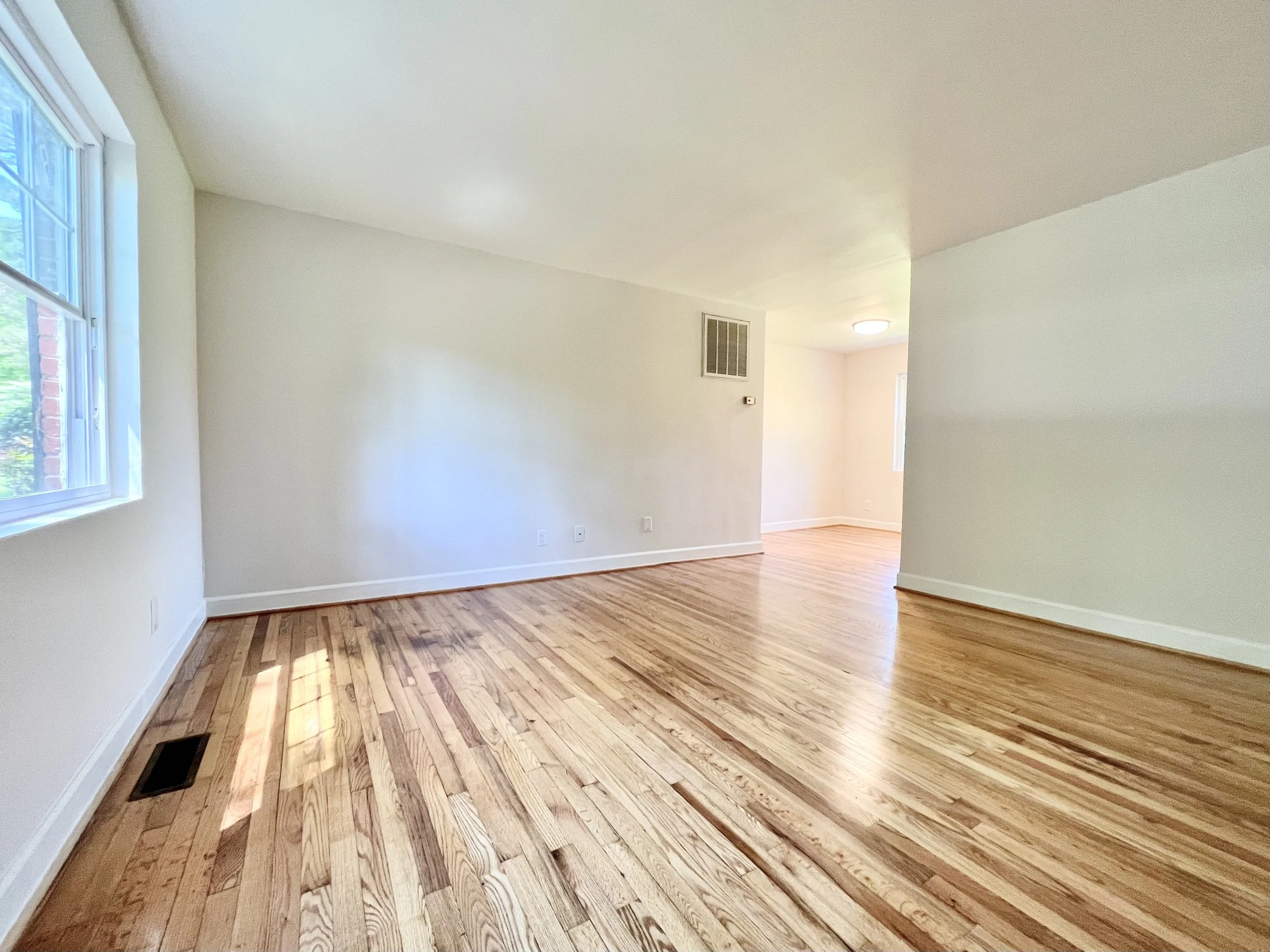 Lindley Park Manor - One Bedroom Remodel - Living Room