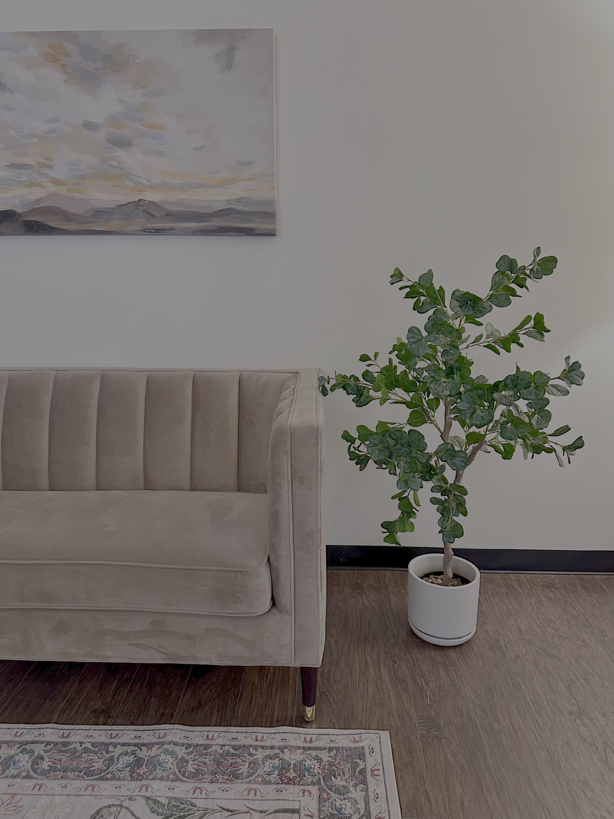 A beige velvet tufted sofa, a potted green plant, and a framed landscape painting on a white wall, with a decorative rug on wooden flooring.