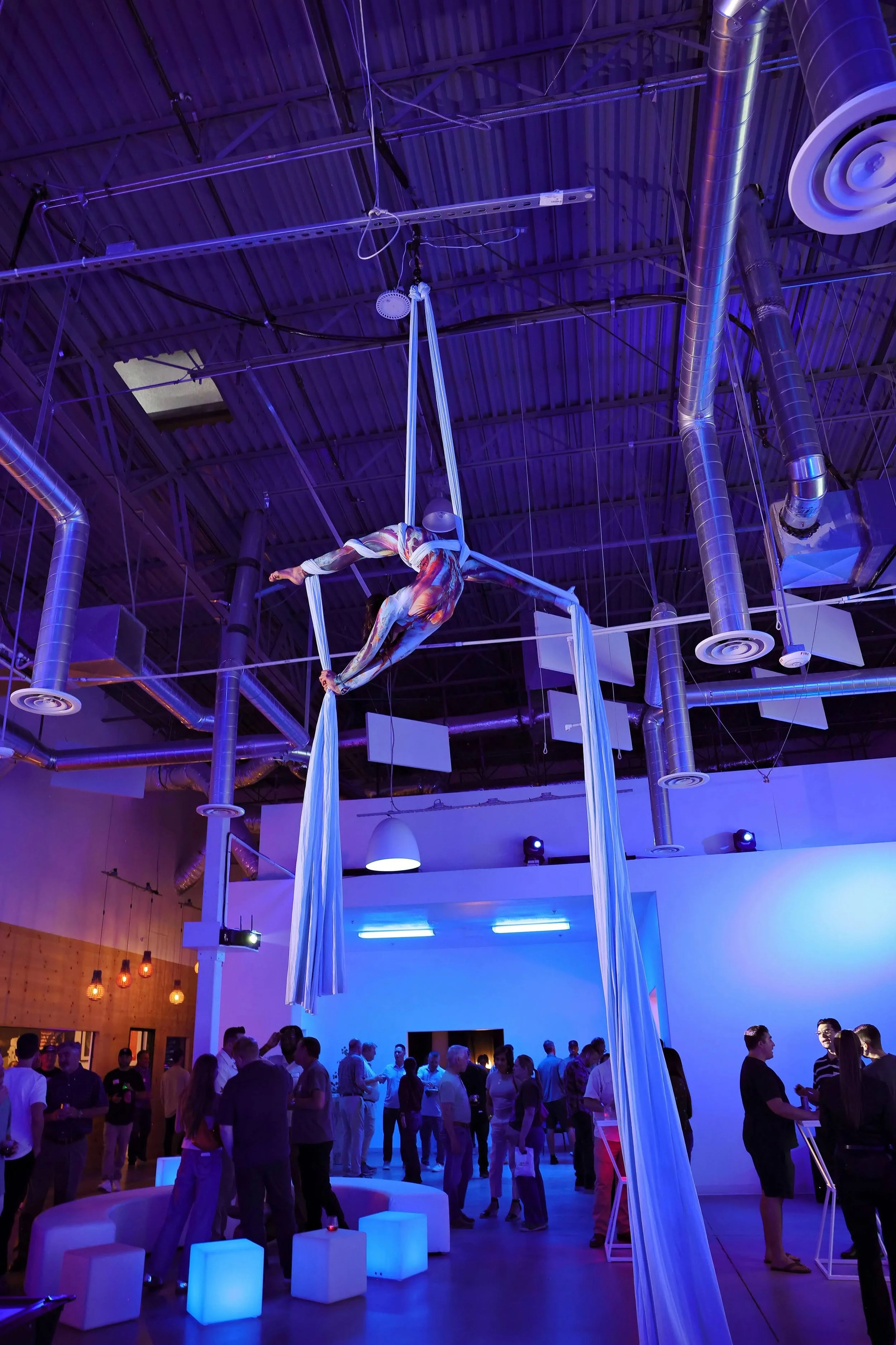 AerialSilks3.jpg