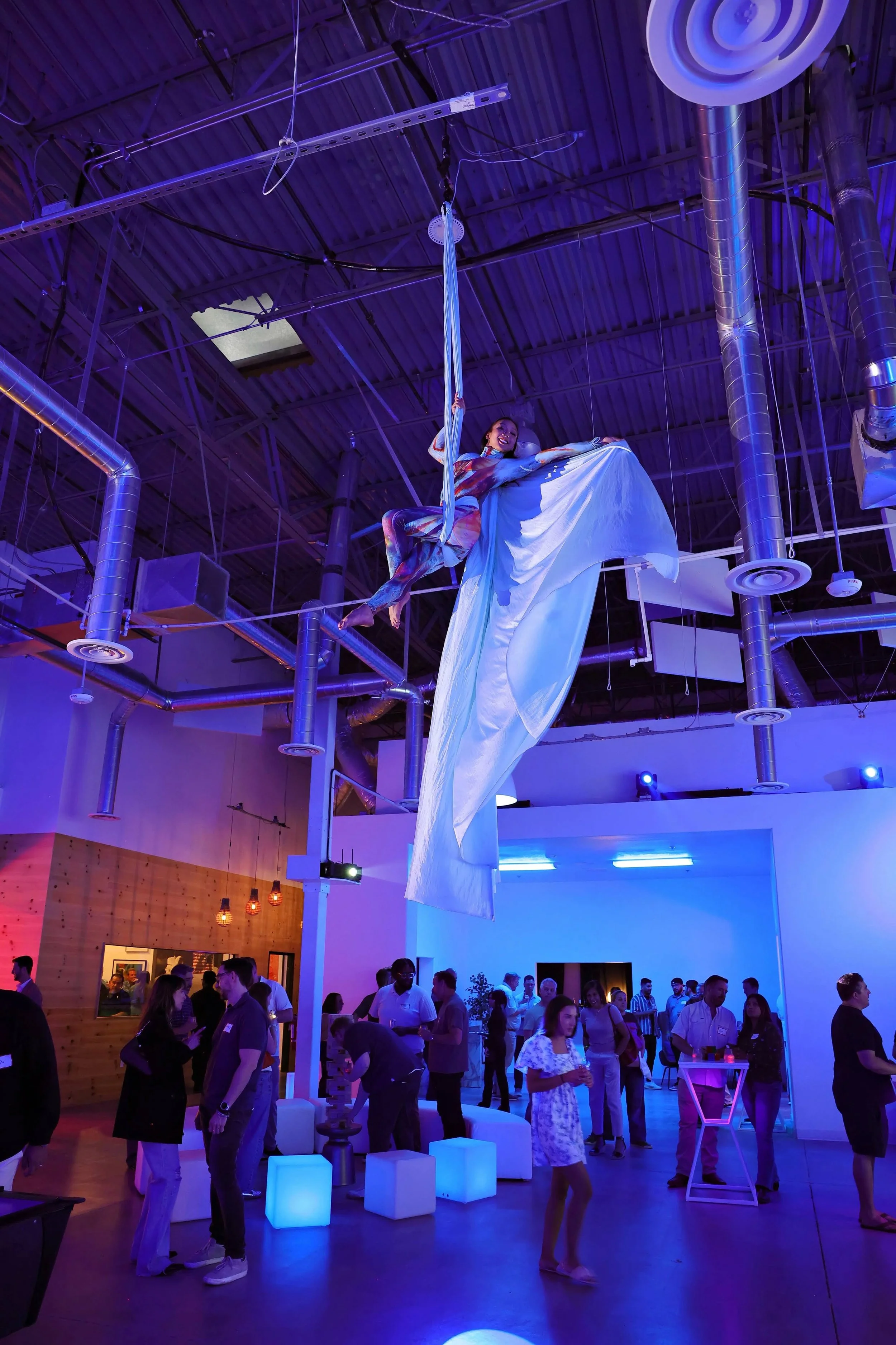 AerialSilks2.jpg