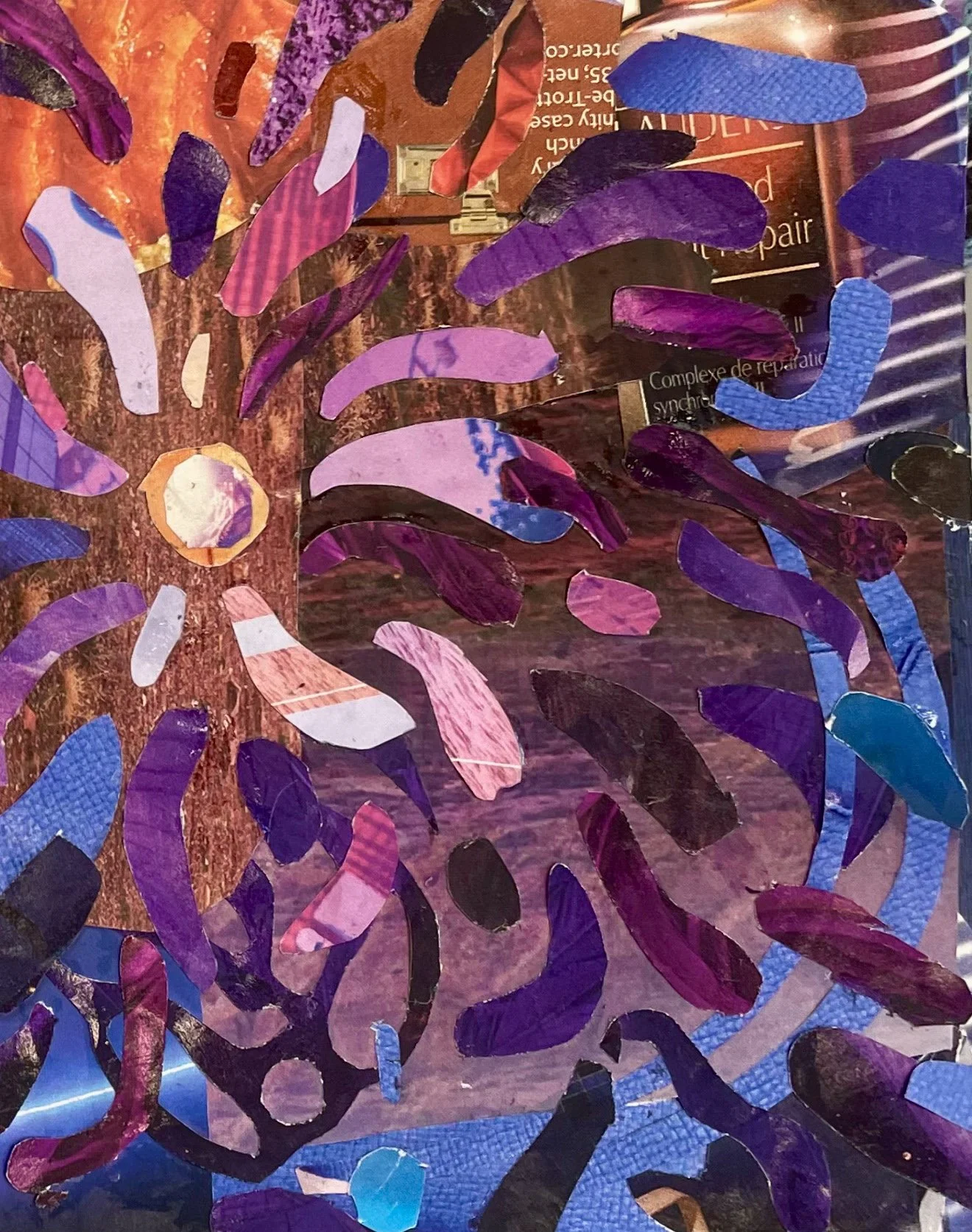 collage.jpg