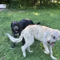 780157400_10244393691925388_8358886171401645890_n.jpg