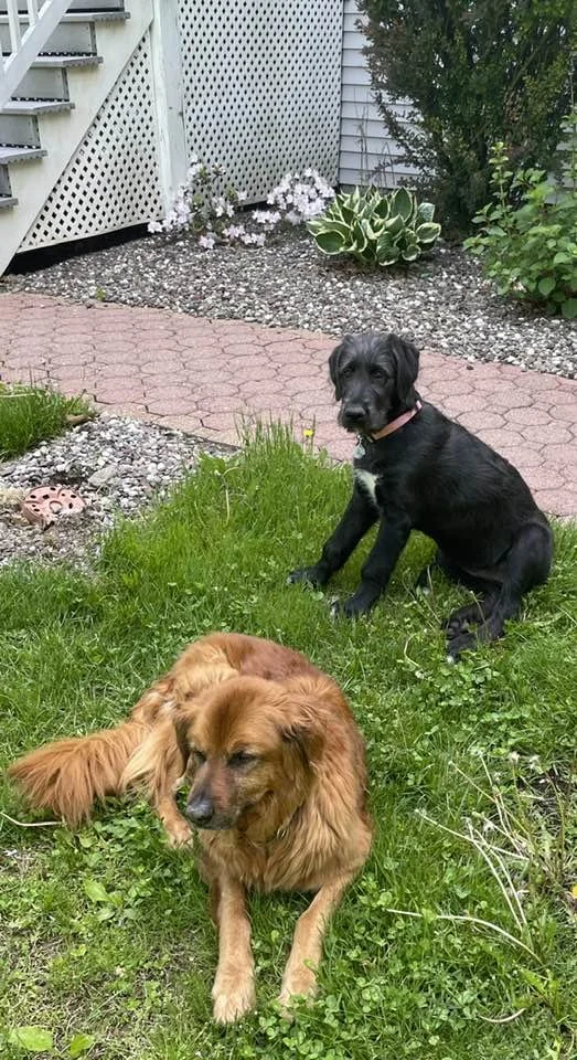 496926180_10236988792487530_3741086055491393066_n.jpg