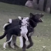 612102348_10240686200040408_3271600067693382809_n.jpg
