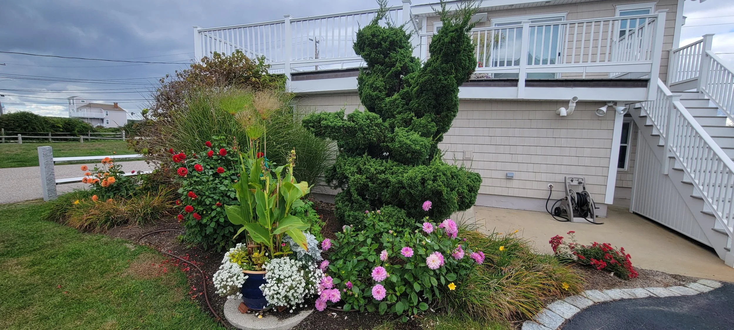 garden 34.jpg