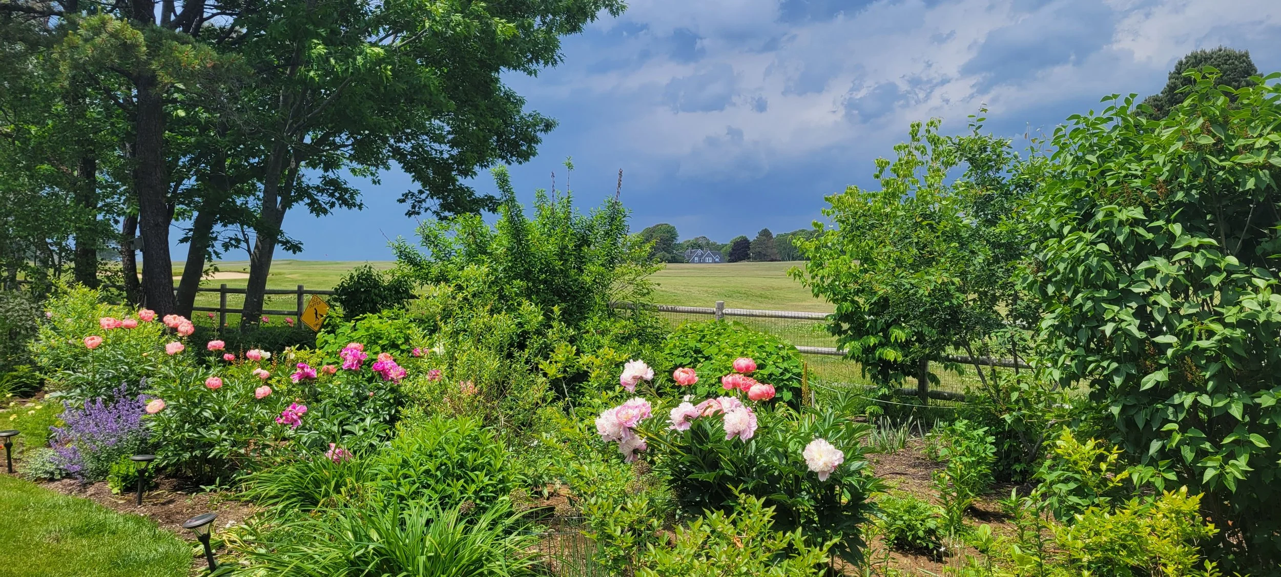 garden 52.jpg