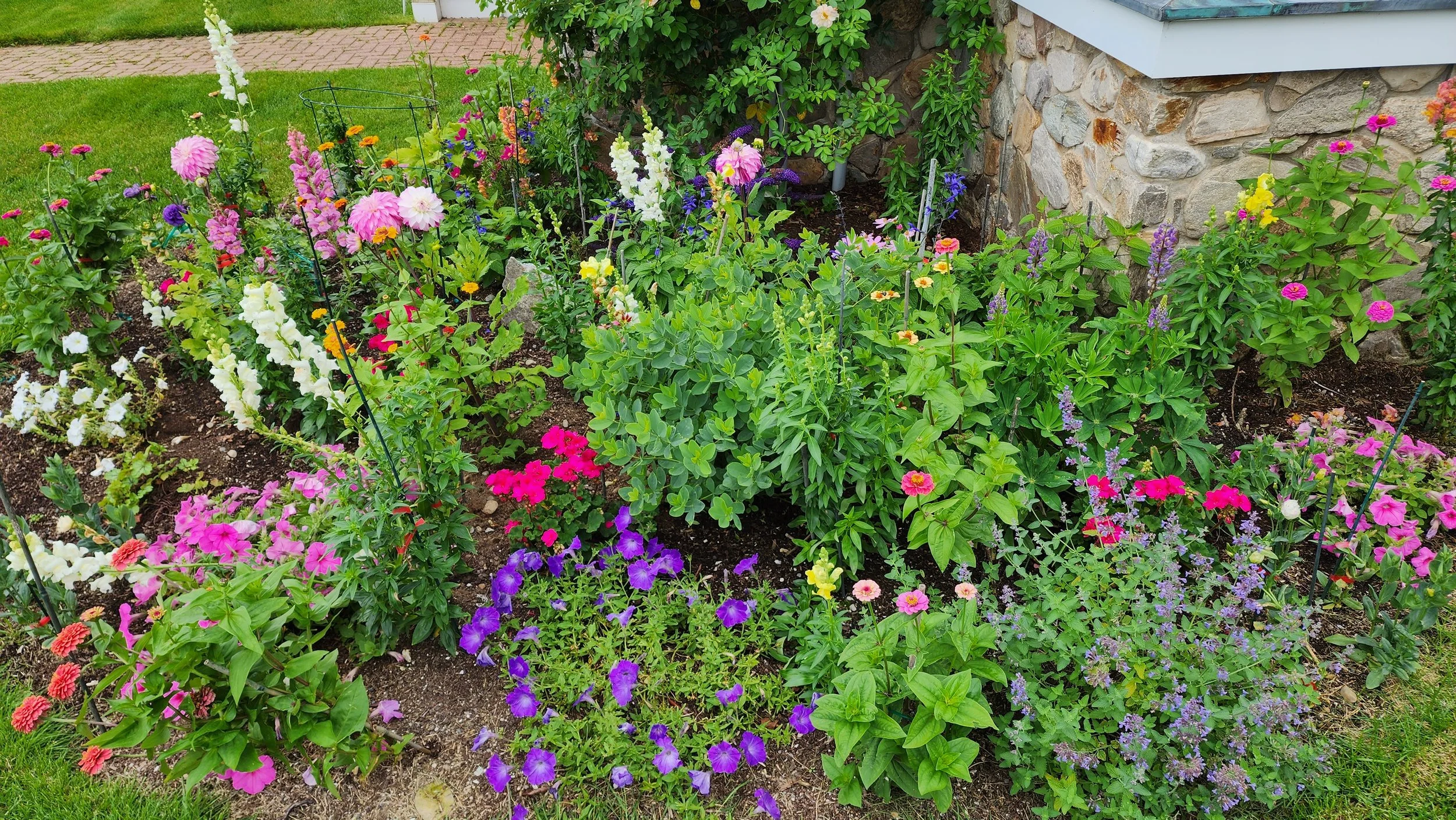 garden 25.jpg