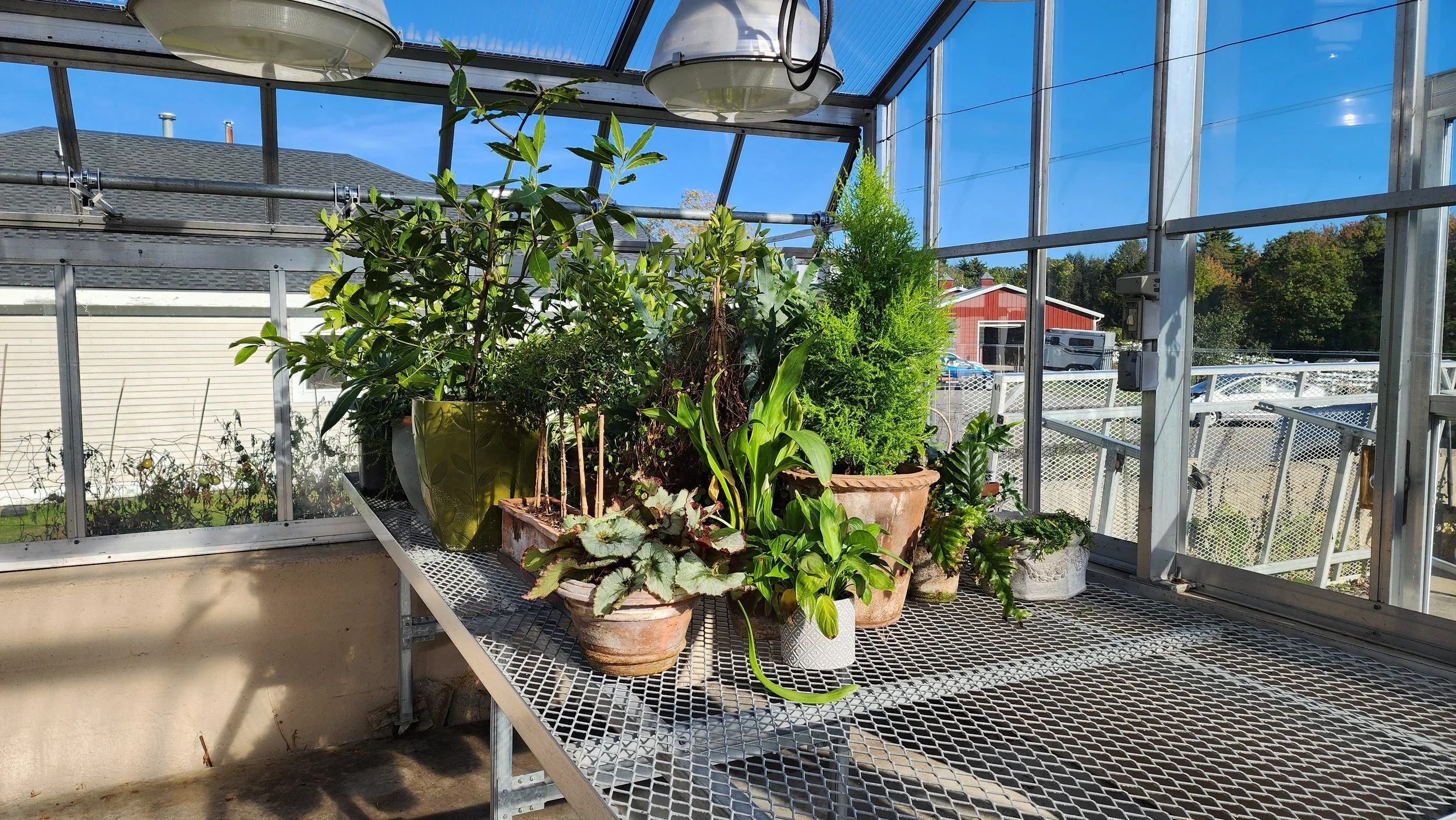 greenhouse.jpg