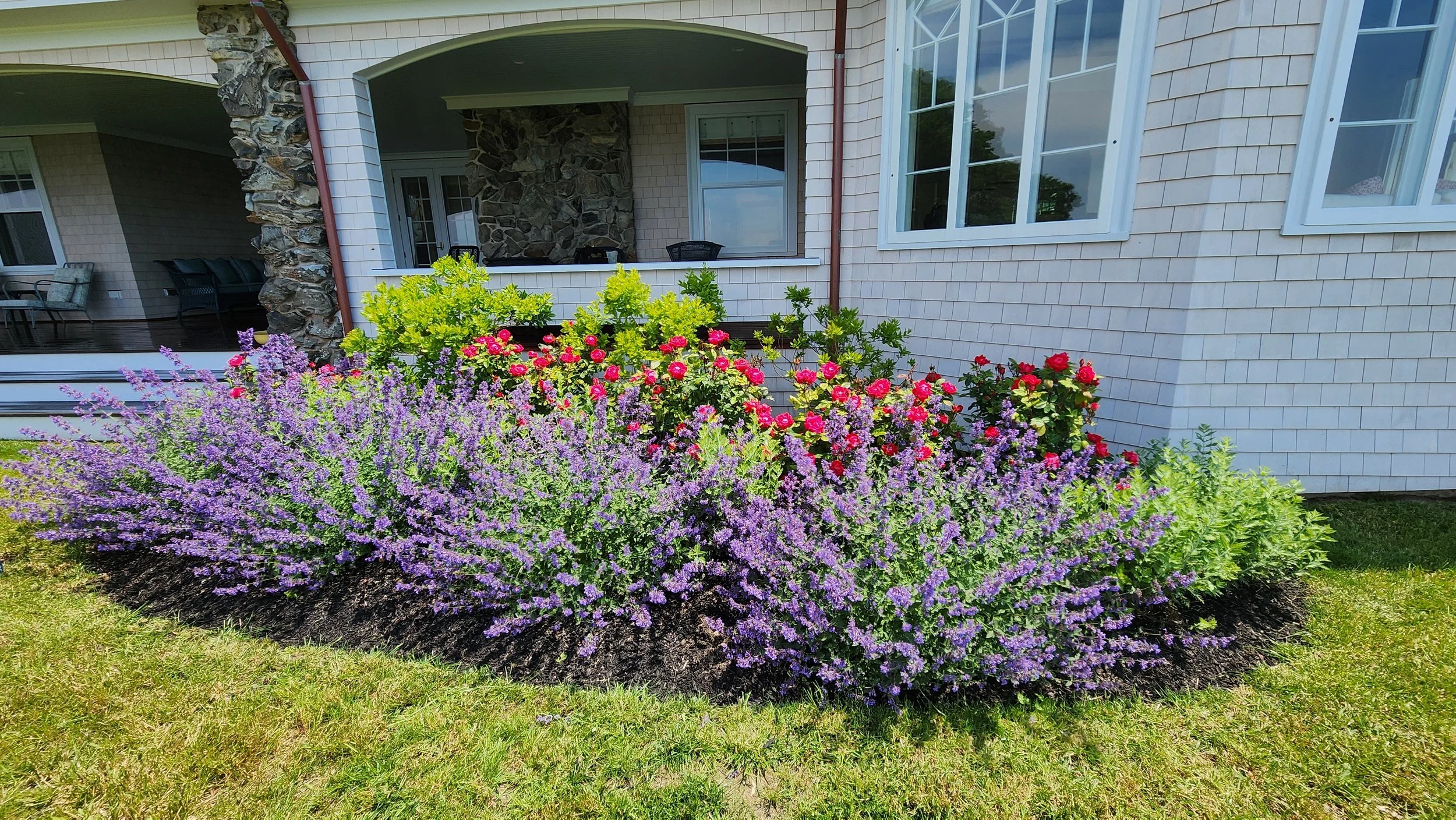 garden 10.jpg