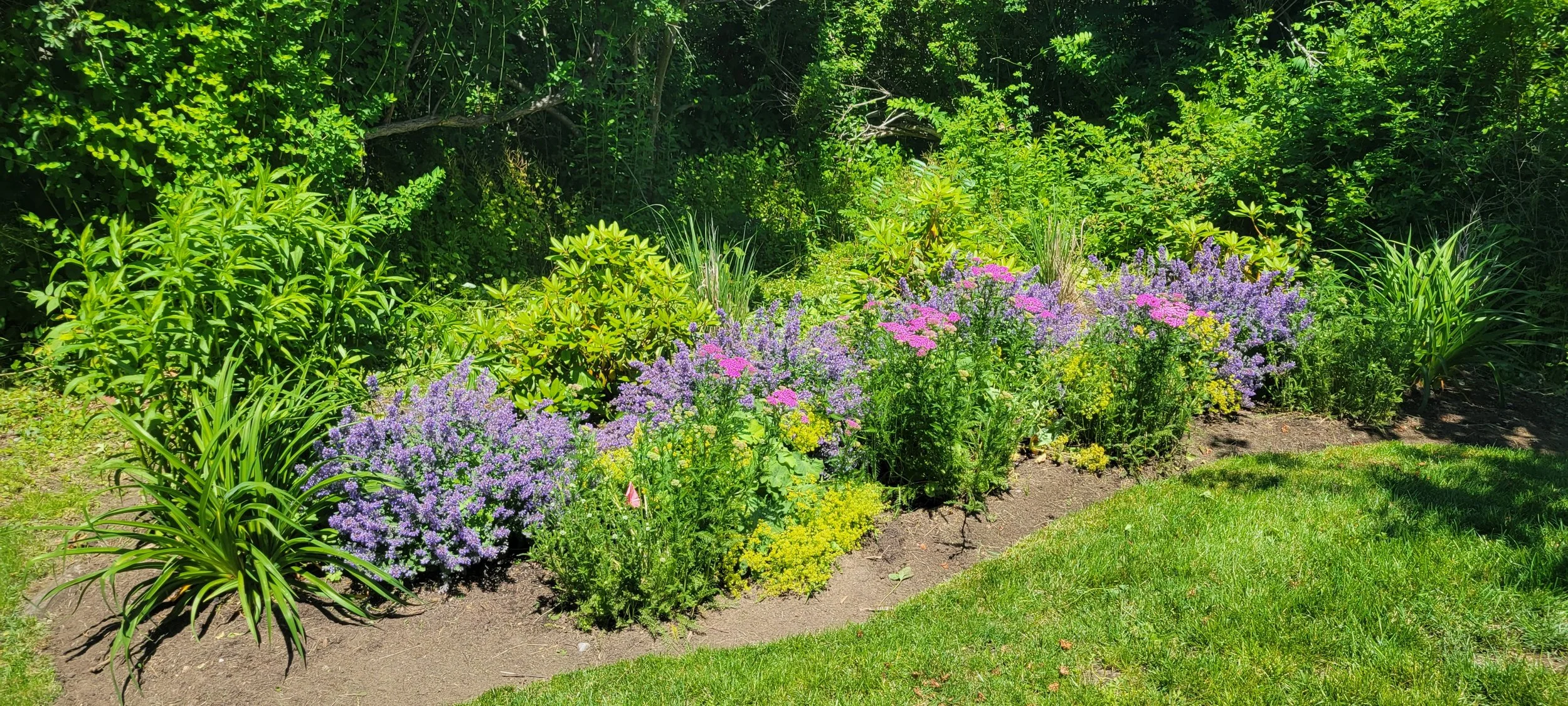 garden 50.jpg
