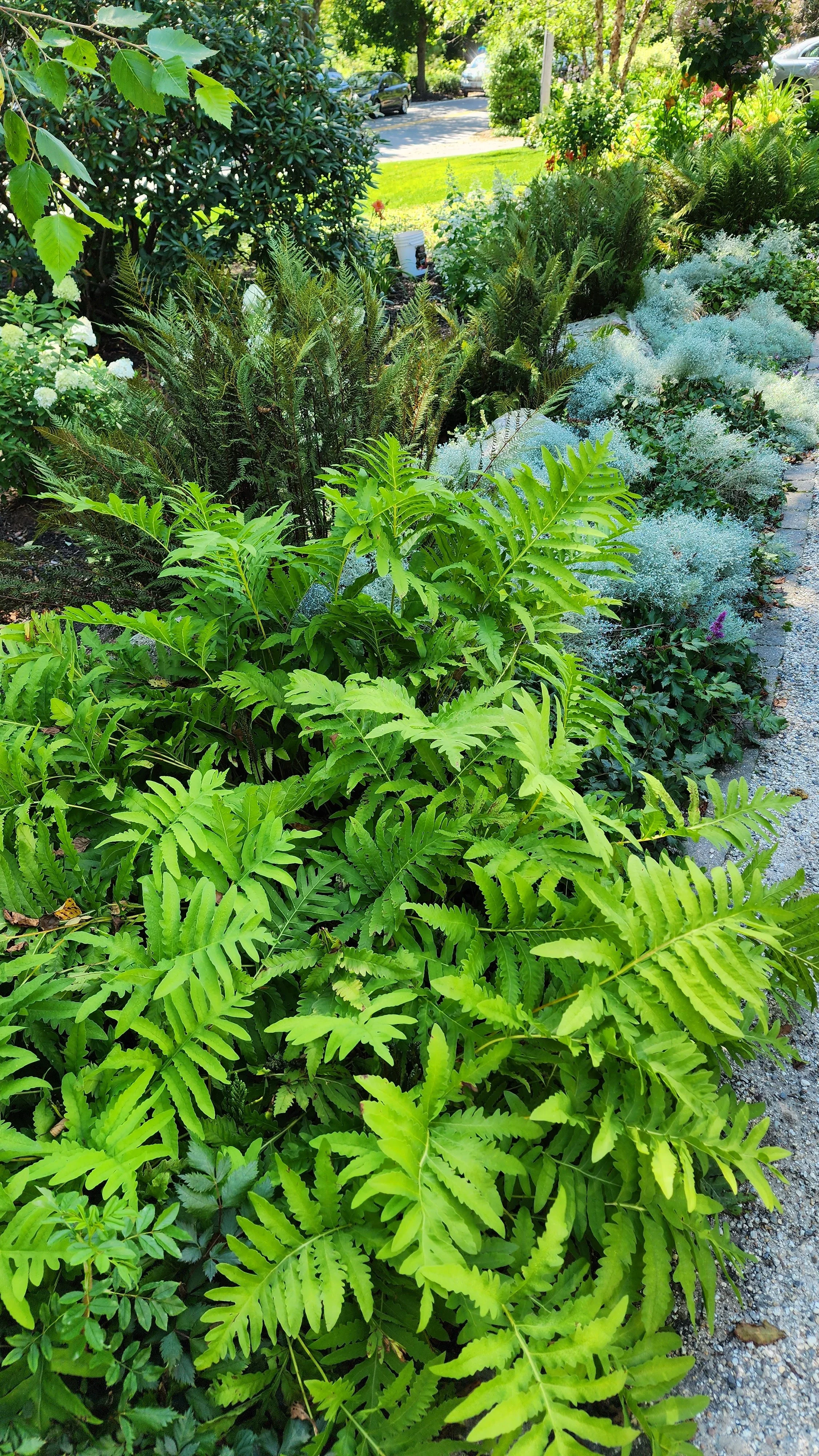 garden 21.jpg