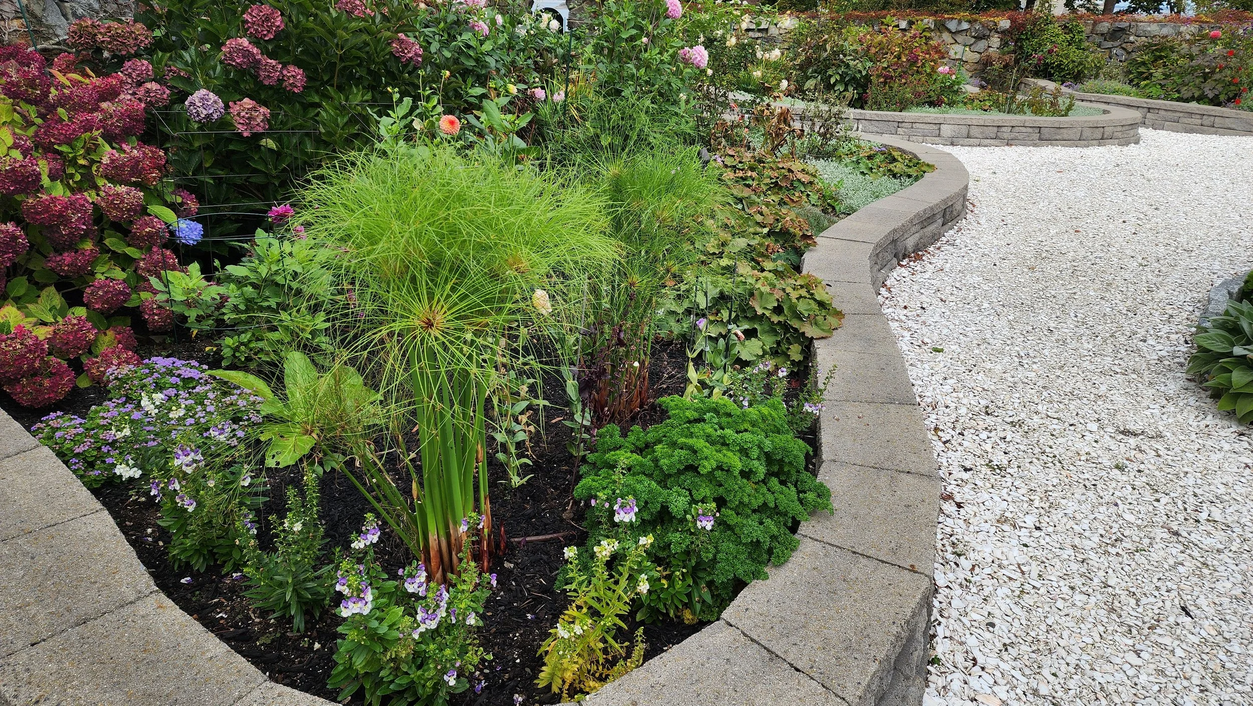 formal garden 2.jpg