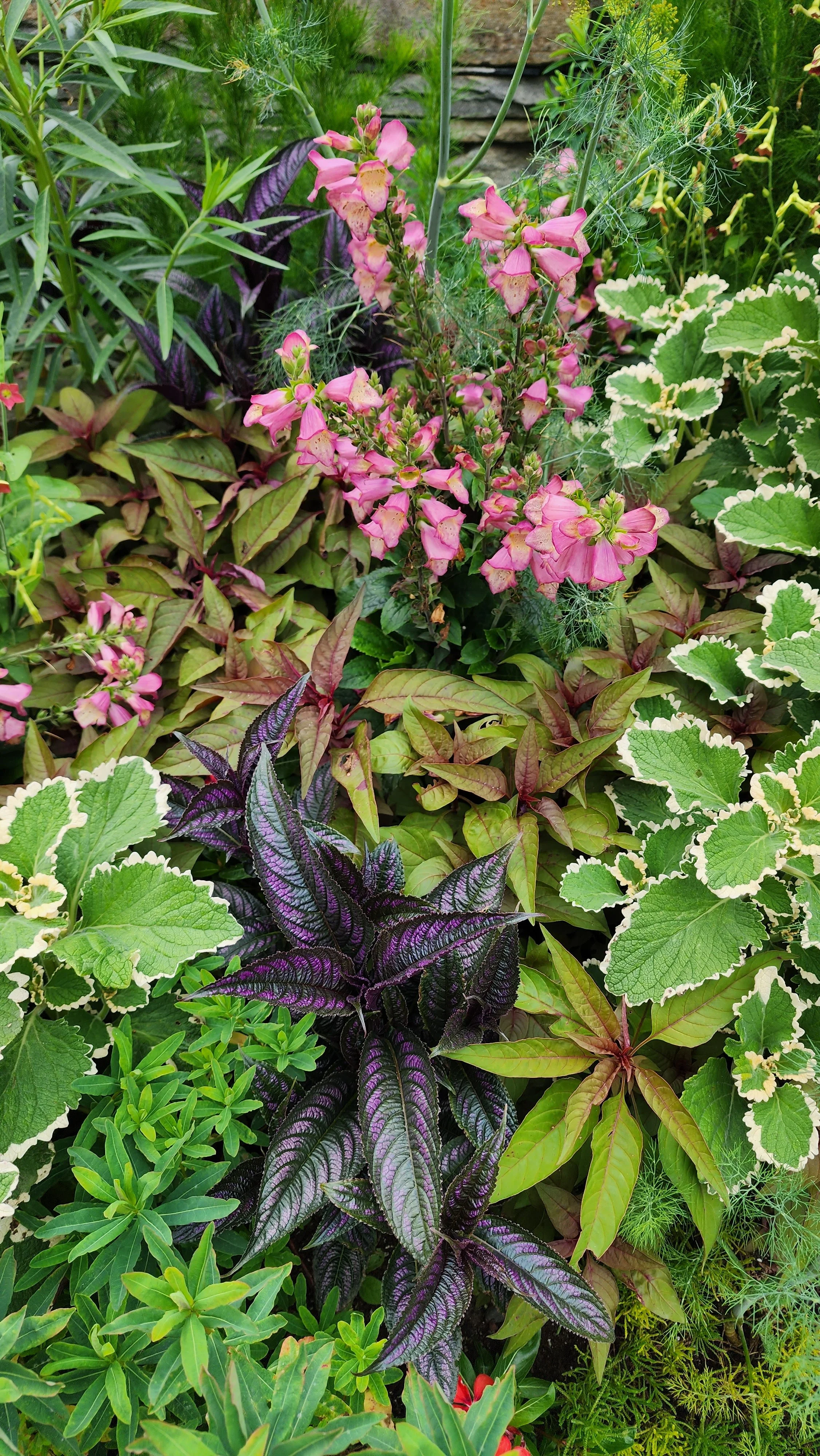 flowers 25.jpg