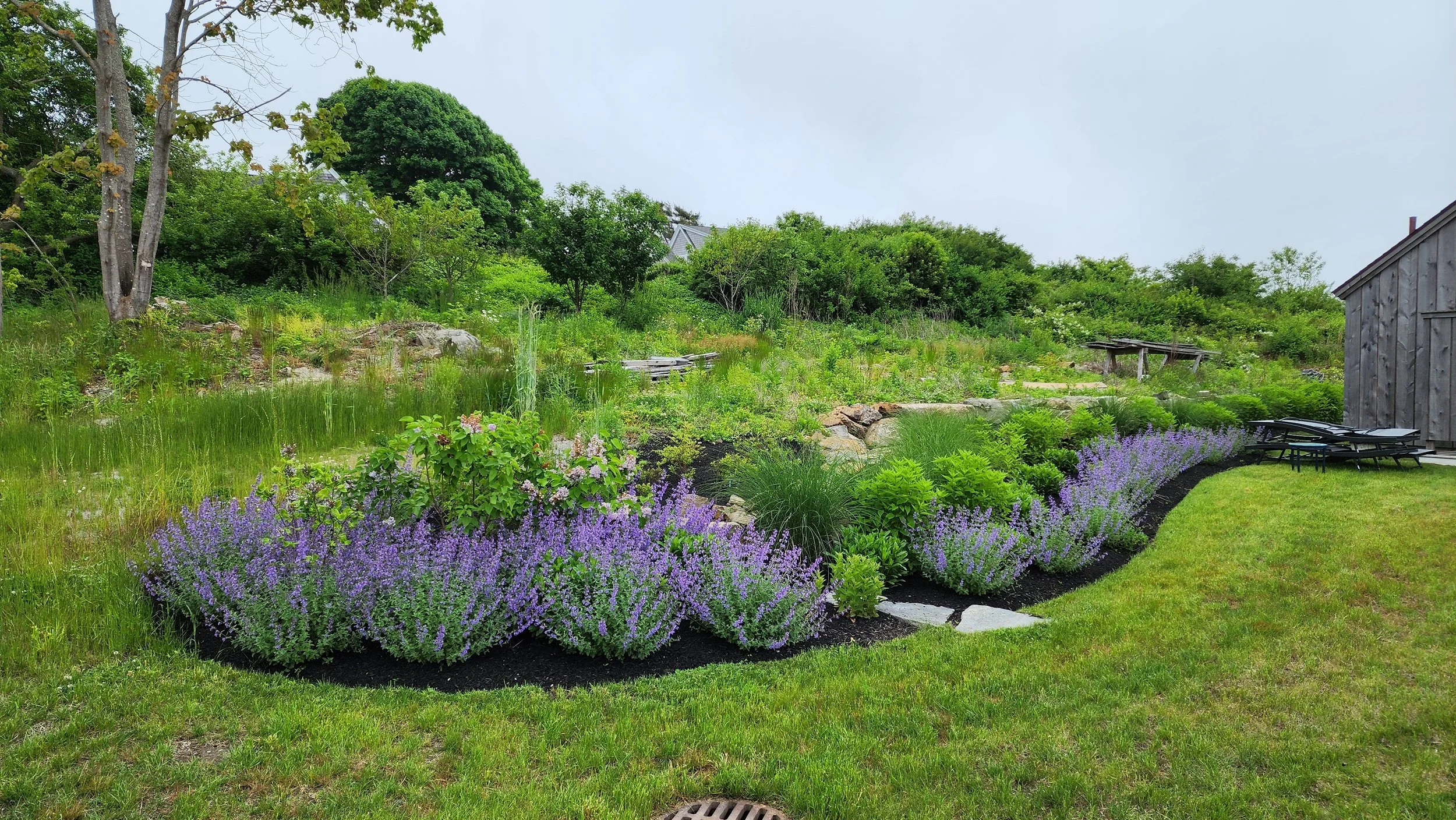garden 13.jpg
