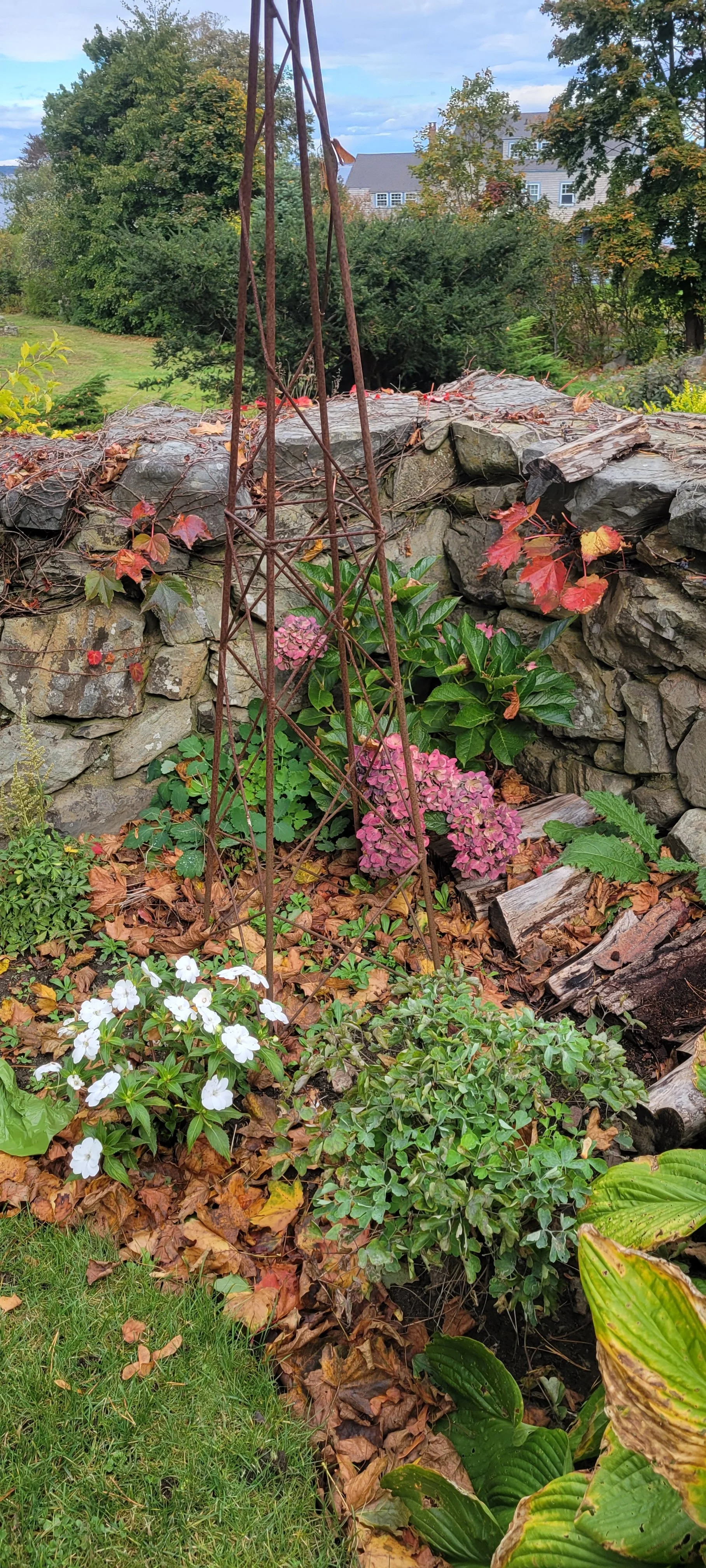 Fall garden 8.jpg