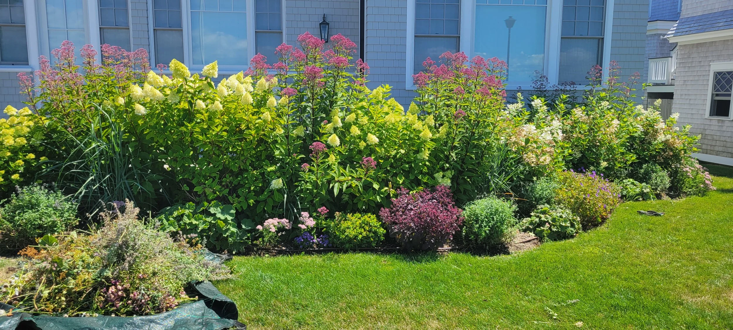 garden 46.jpg