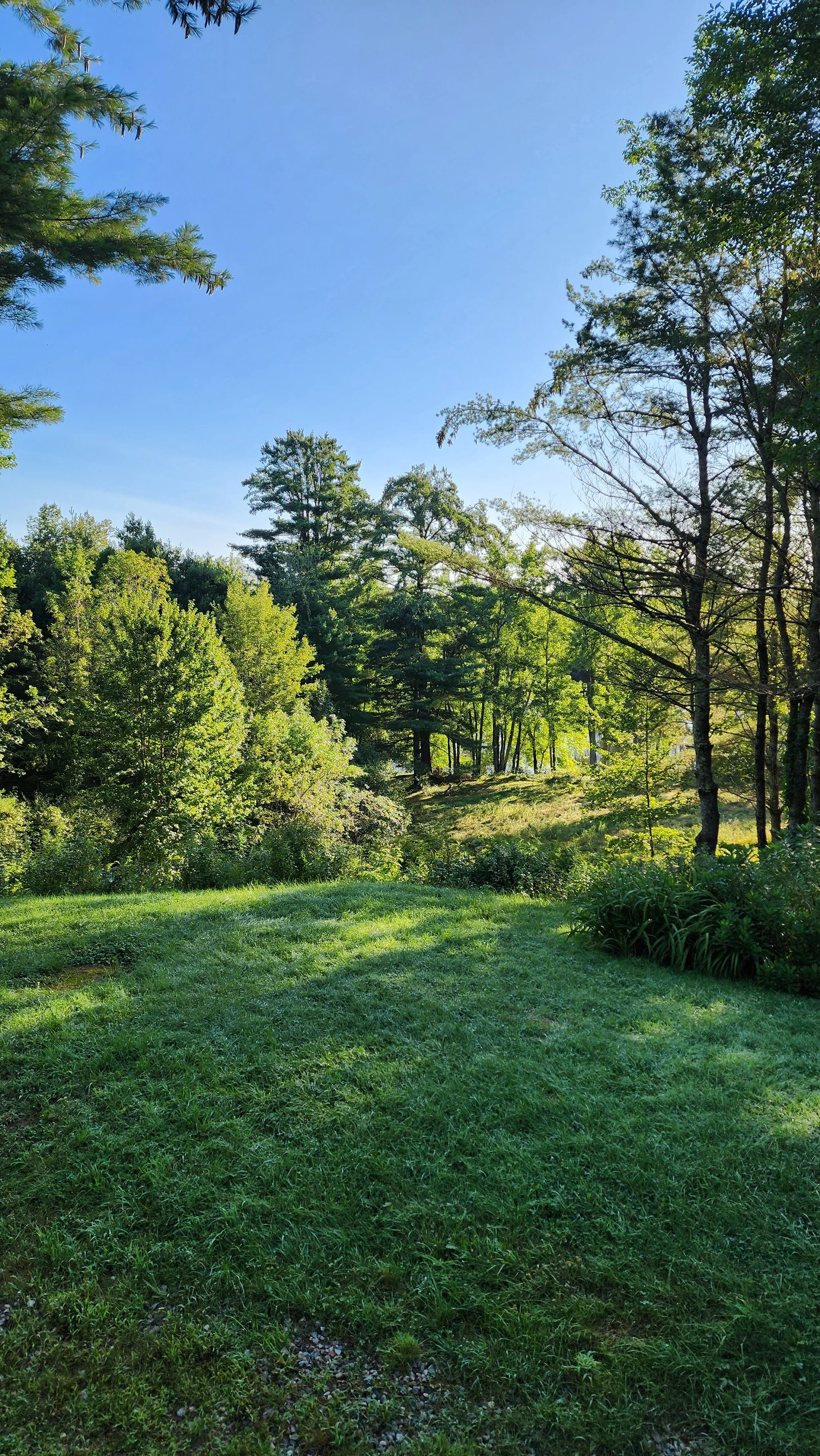 natural scapes 7.jpg