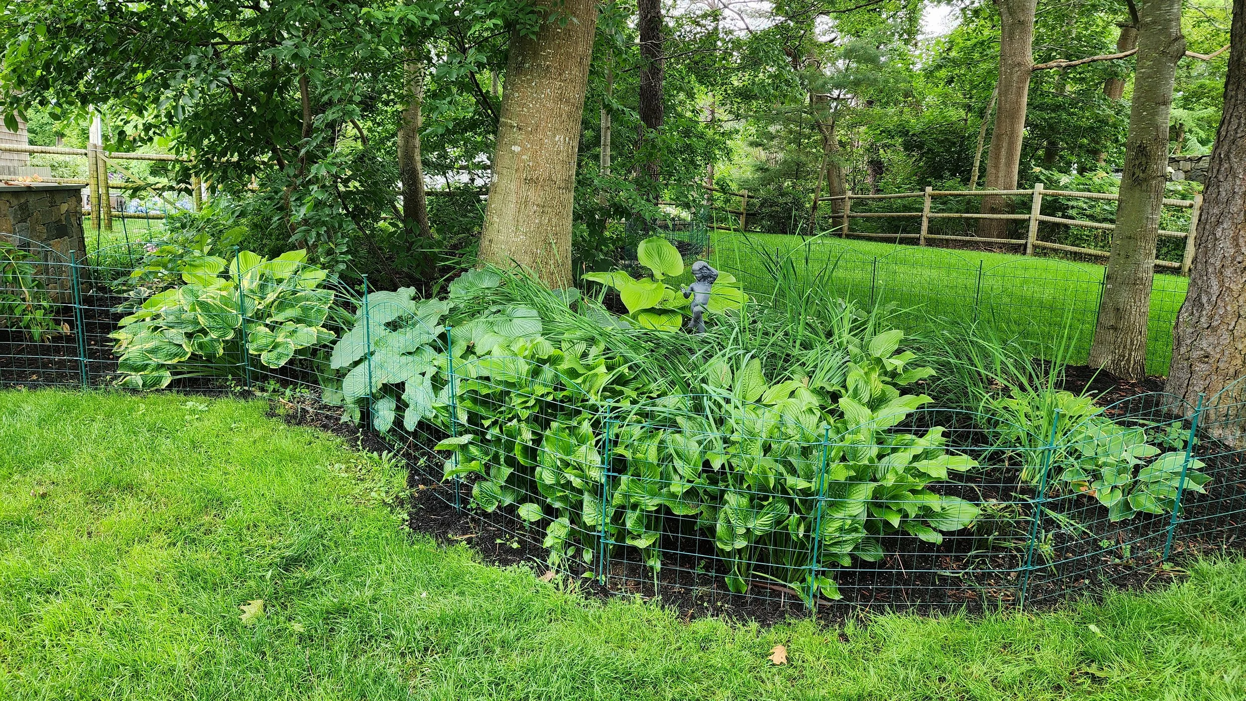 garden 5.jpg