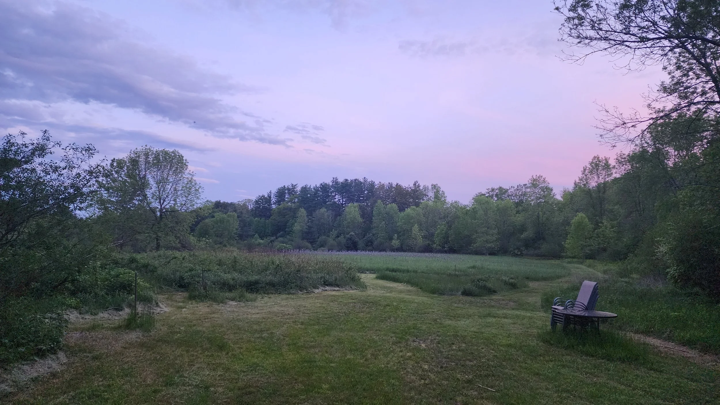 large estate properties.jpg